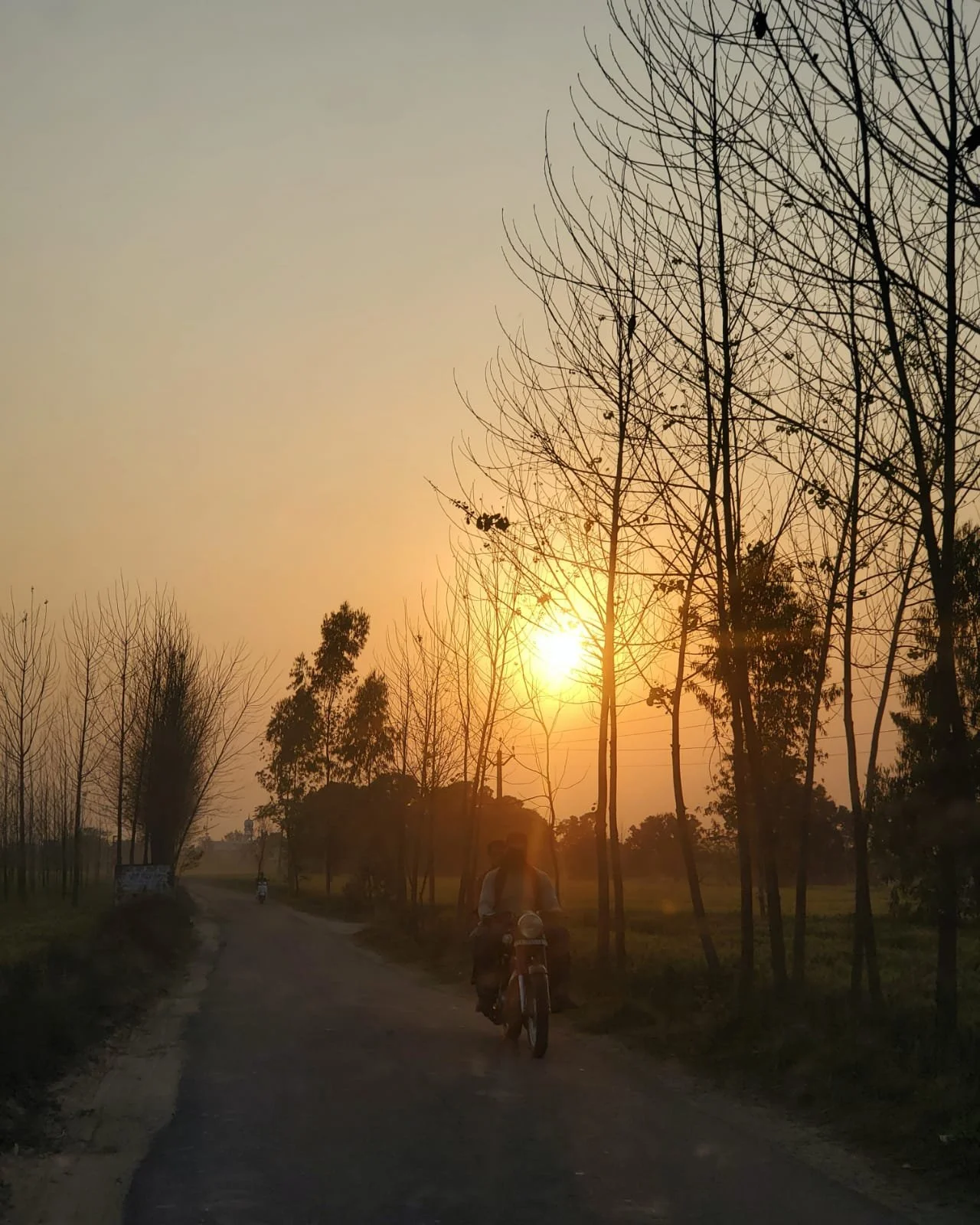 WhatsApp Image 2024-03-13 at 10.04.14 AM (2).jpeg