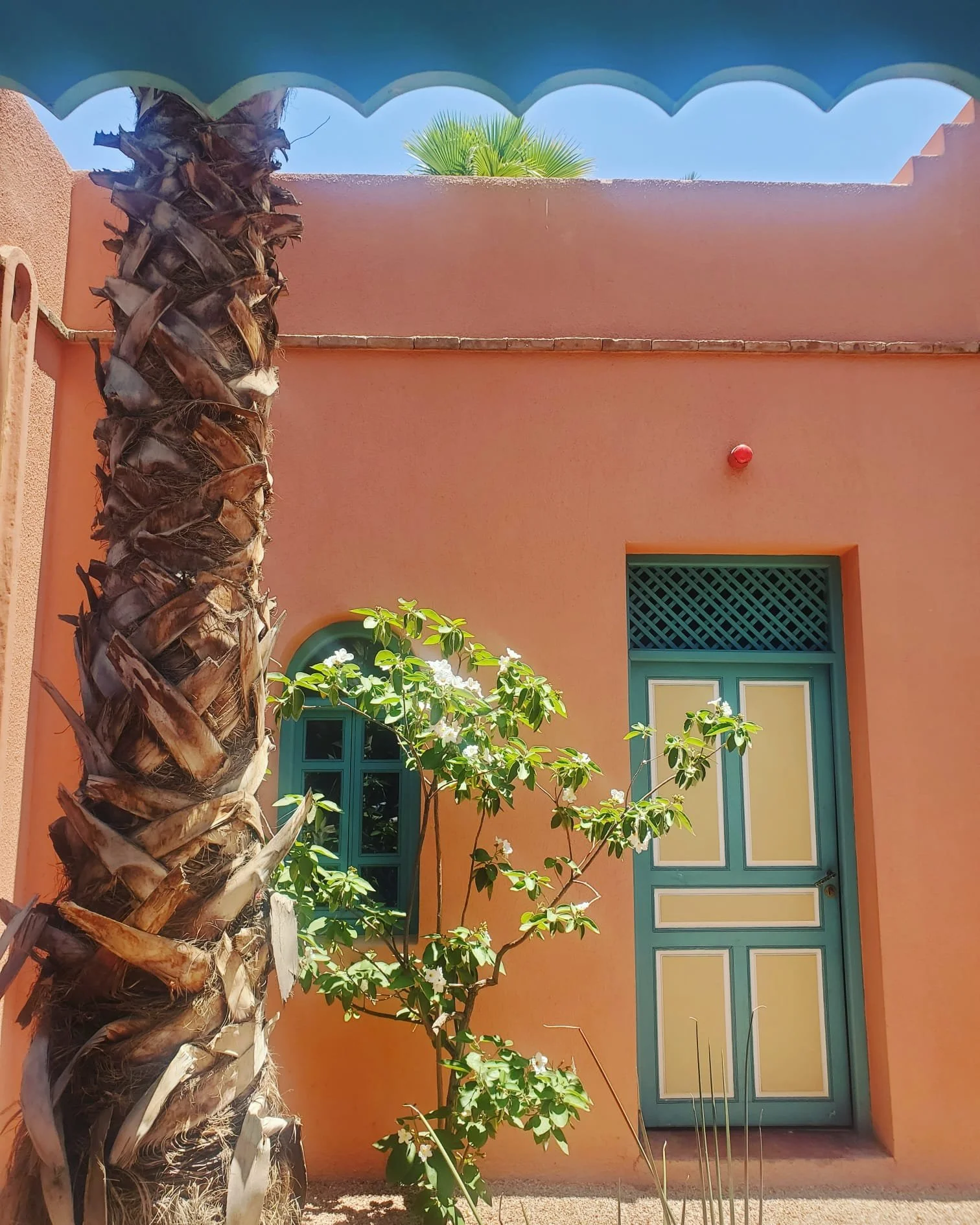 WhatsApp Image 2024-03-13 at 10.17.09 PM.jpeg