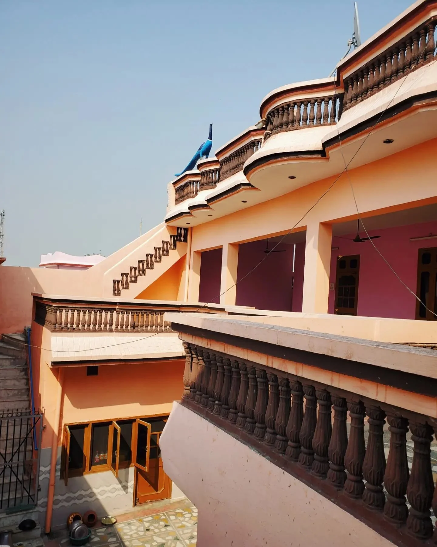 WhatsApp Image 2024-03-13 at 9.12.40 PM (3).jpeg