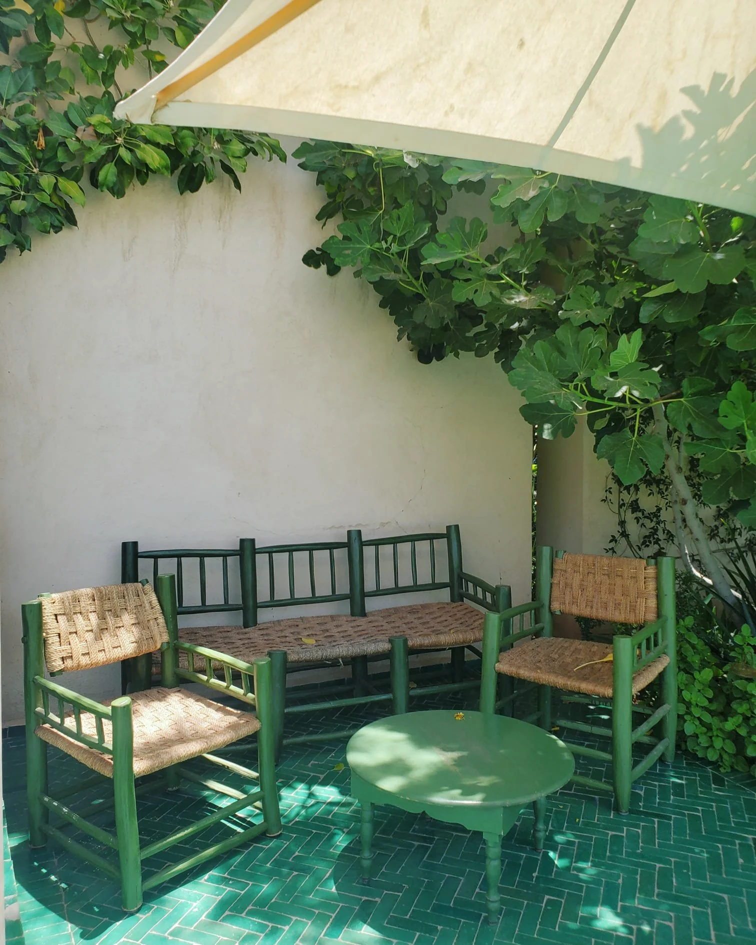 WhatsApp Image 2024-03-13 at 10.17.03 PM (3).jpeg