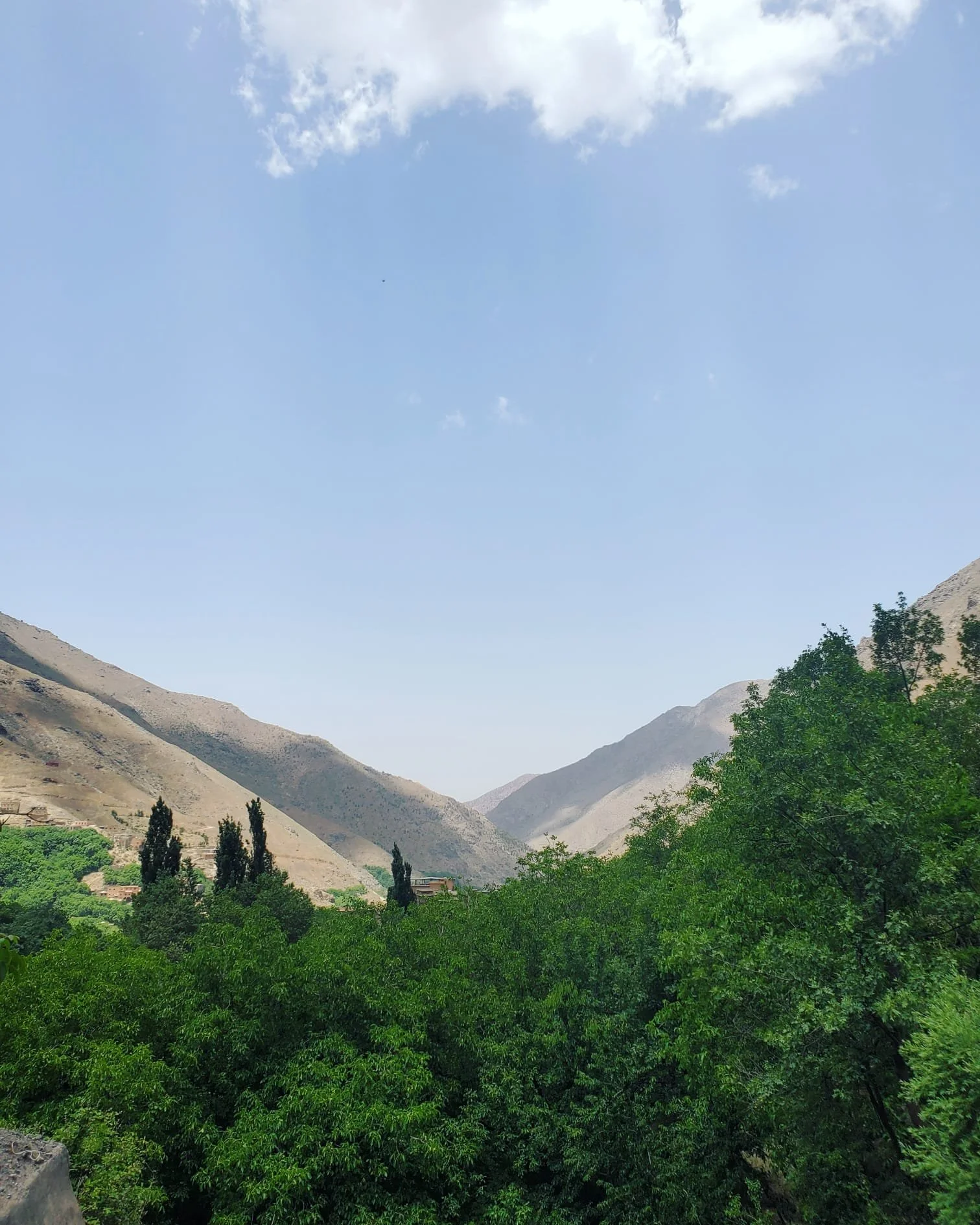 WhatsApp Image 2024-03-13 at 10.17.02 PM (4).jpeg