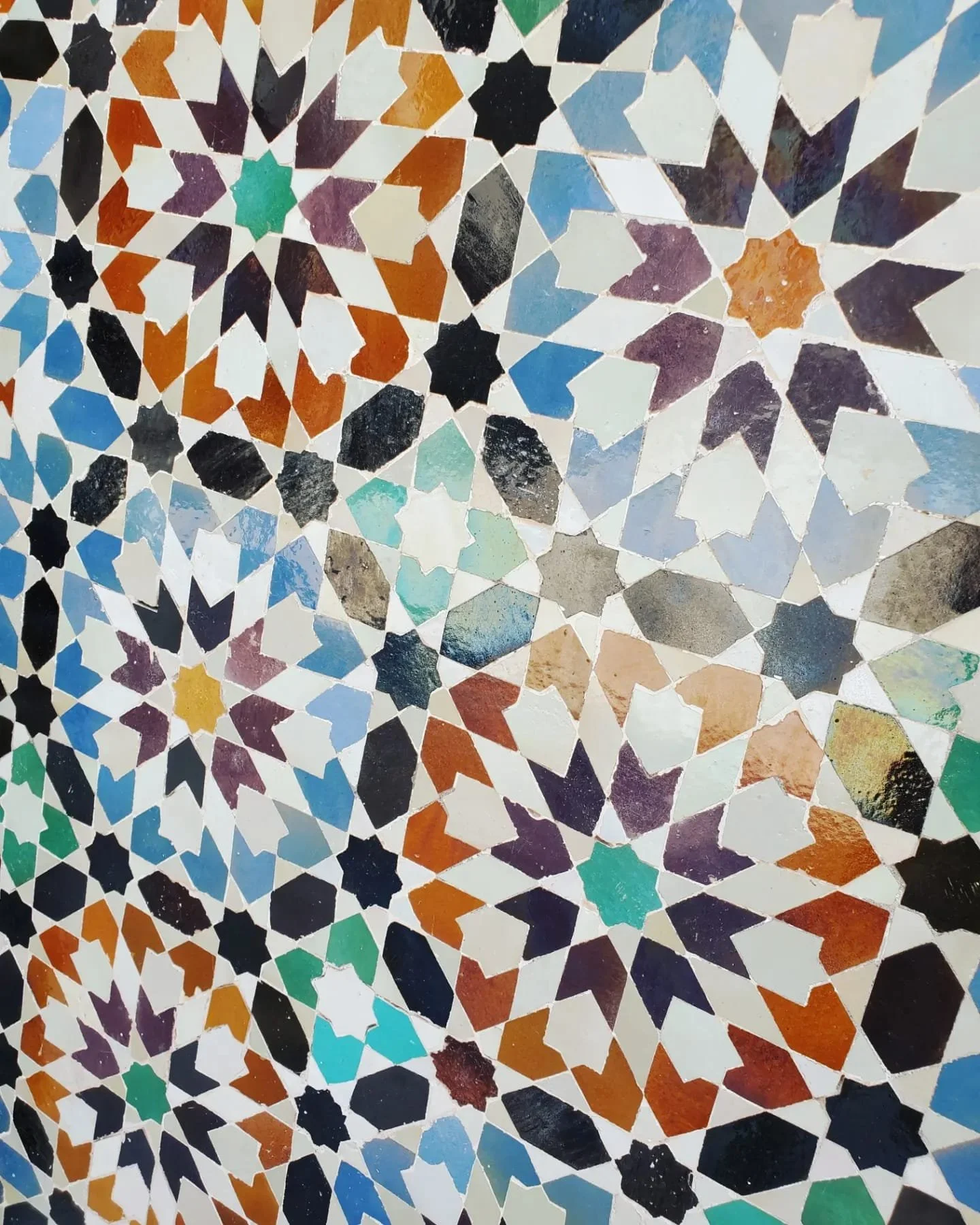 WhatsApp Image 2024-03-13 at 10.16.36 PM.jpeg