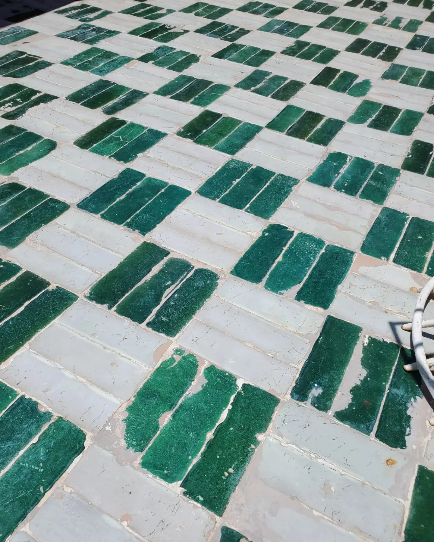 WhatsApp Image 2024-03-13 at 9.12.44 PM (1).jpeg