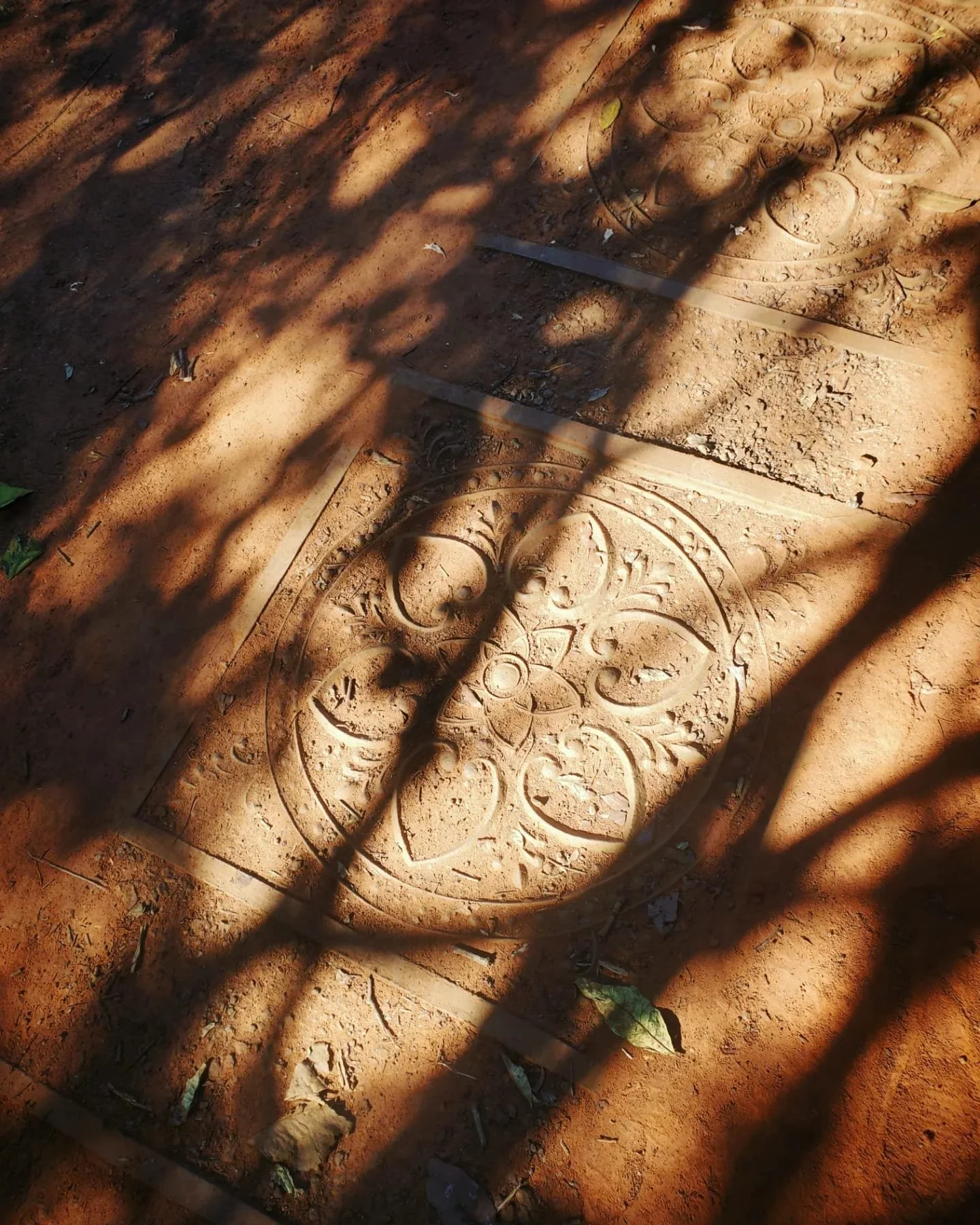 WhatsApp Image 2024-03-13 at 9.00.31 PM.jpeg