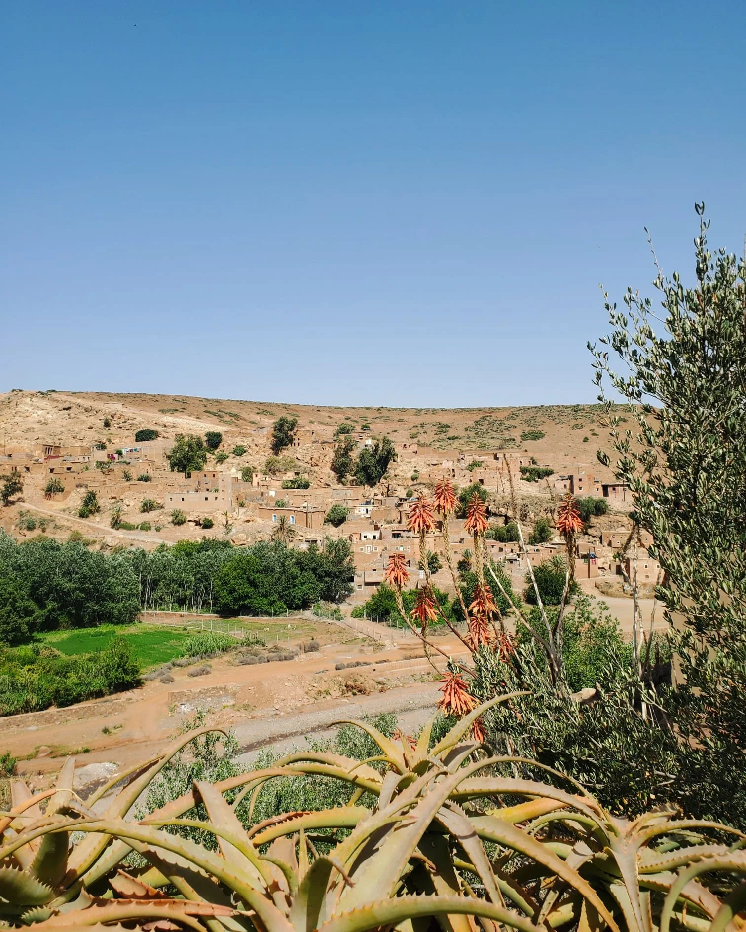 WhatsApp Image 2024-03-13 at 10.16.48 PM.jpeg