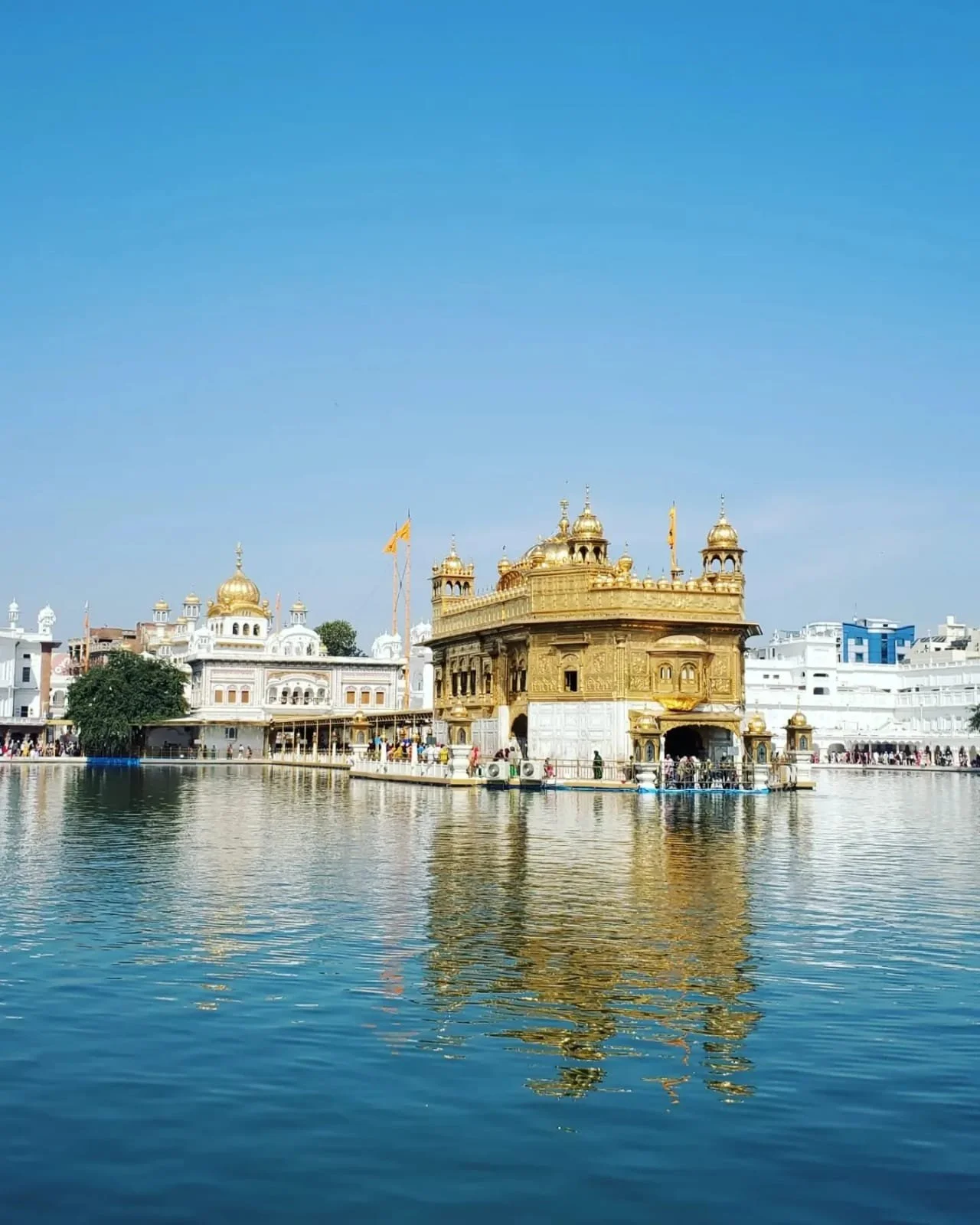 WhatsApp Image 2024-03-13 at 10.04.18 AM (3).jpeg