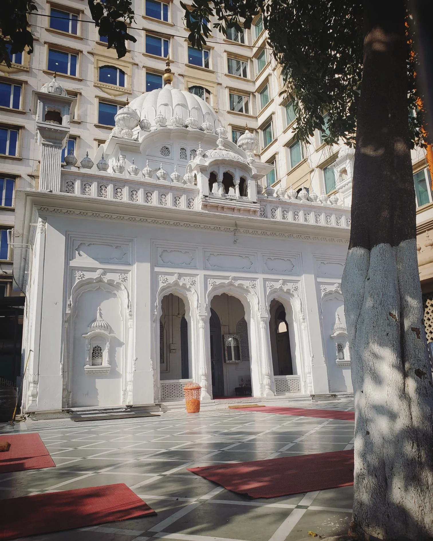 WhatsApp Image 2024-03-13 at 9.00.30 PM (1).jpeg