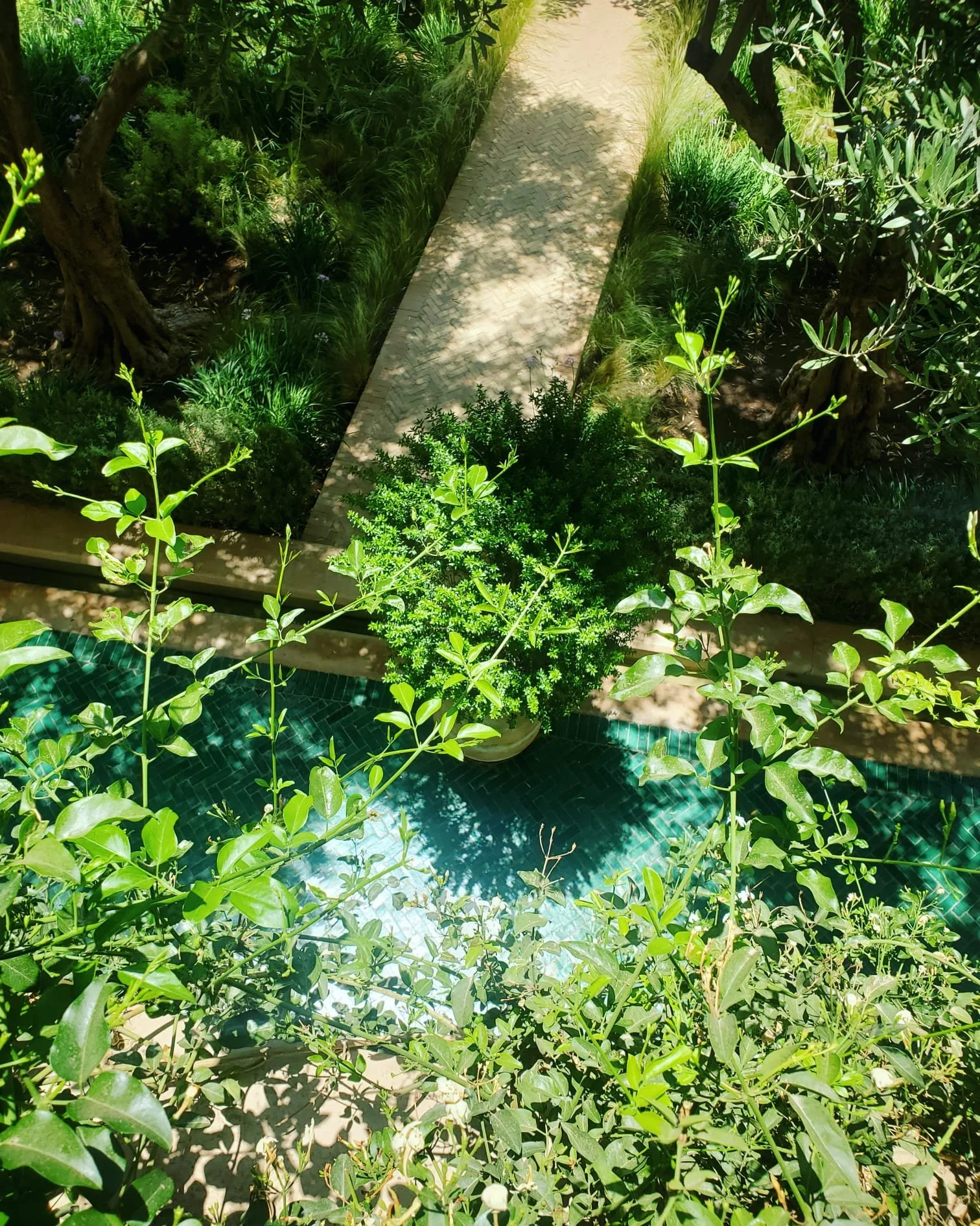 WhatsApp Image 2024-03-13 at 10.17.03 PM (4).jpeg