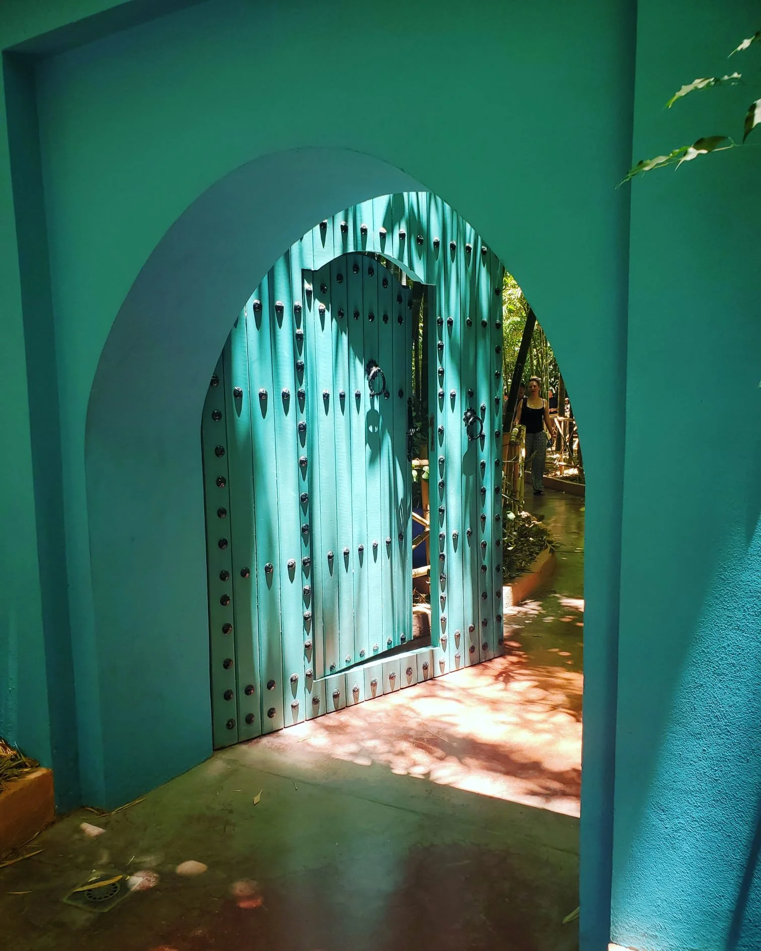 WhatsApp Image 2024-03-13 at 10.17.15 PM (4).jpeg