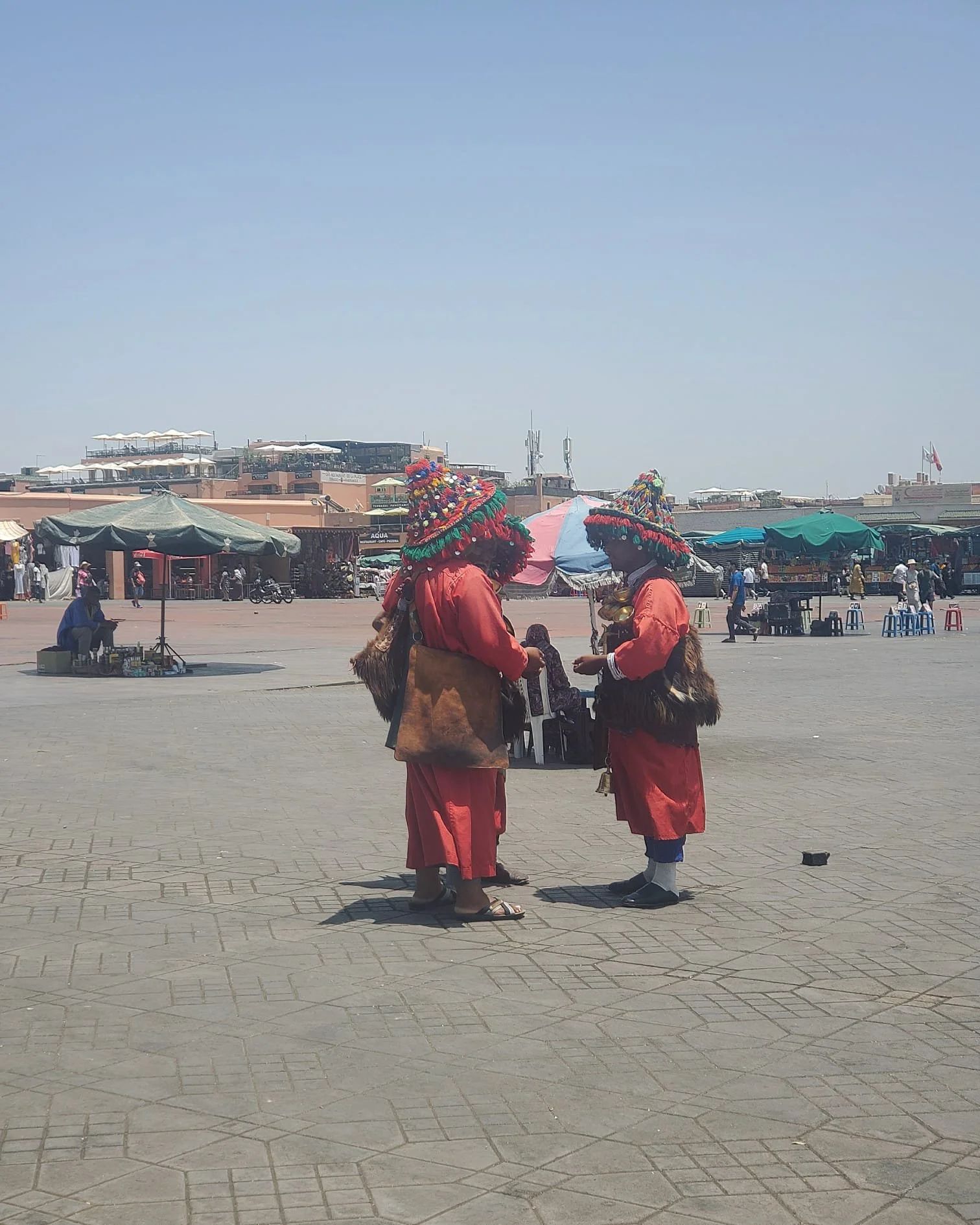 WhatsApp Image 2024-03-13 at 10.17.10 PM.jpeg