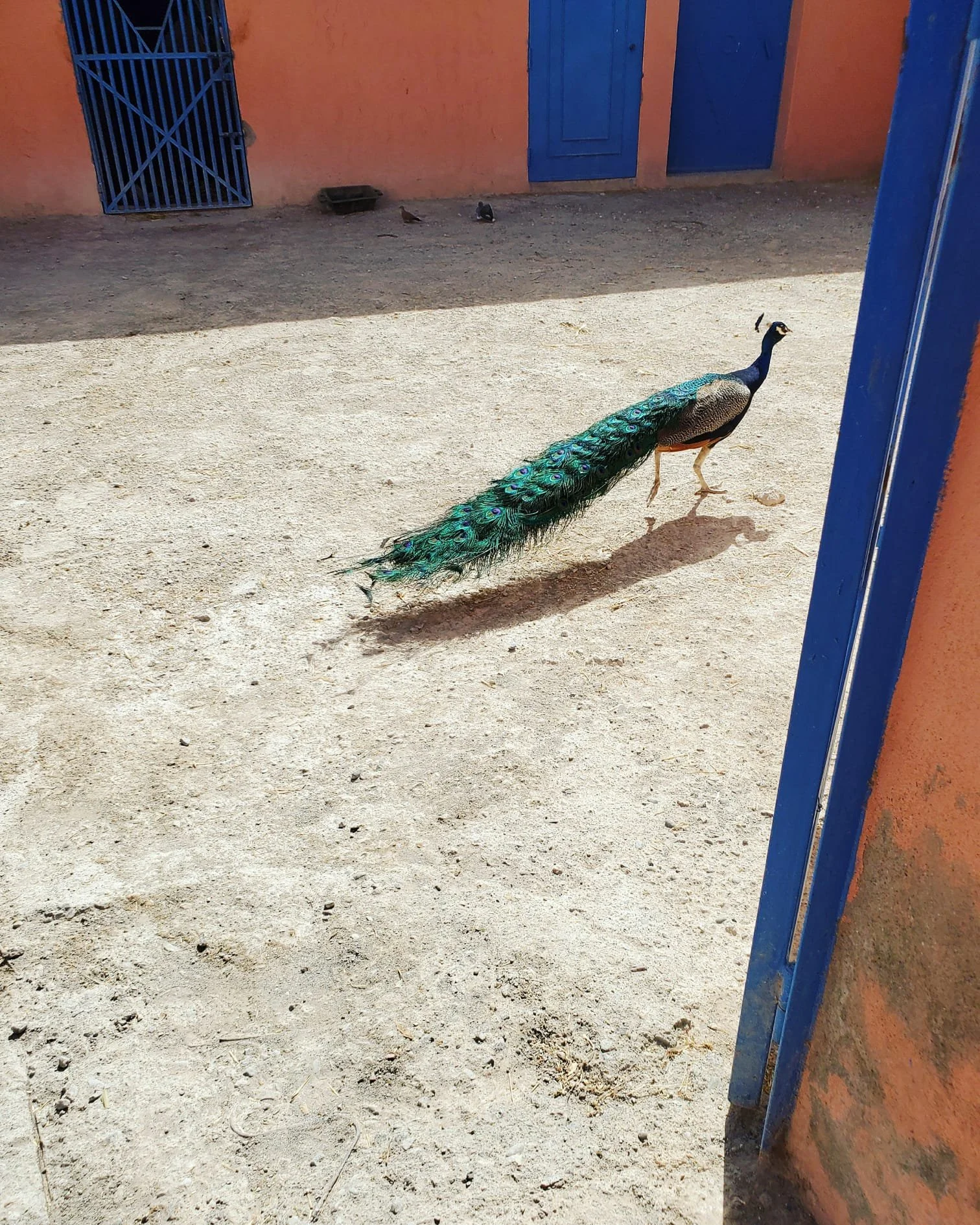 WhatsApp Image 2024-03-13 at 10.17.03 PM (2).jpeg