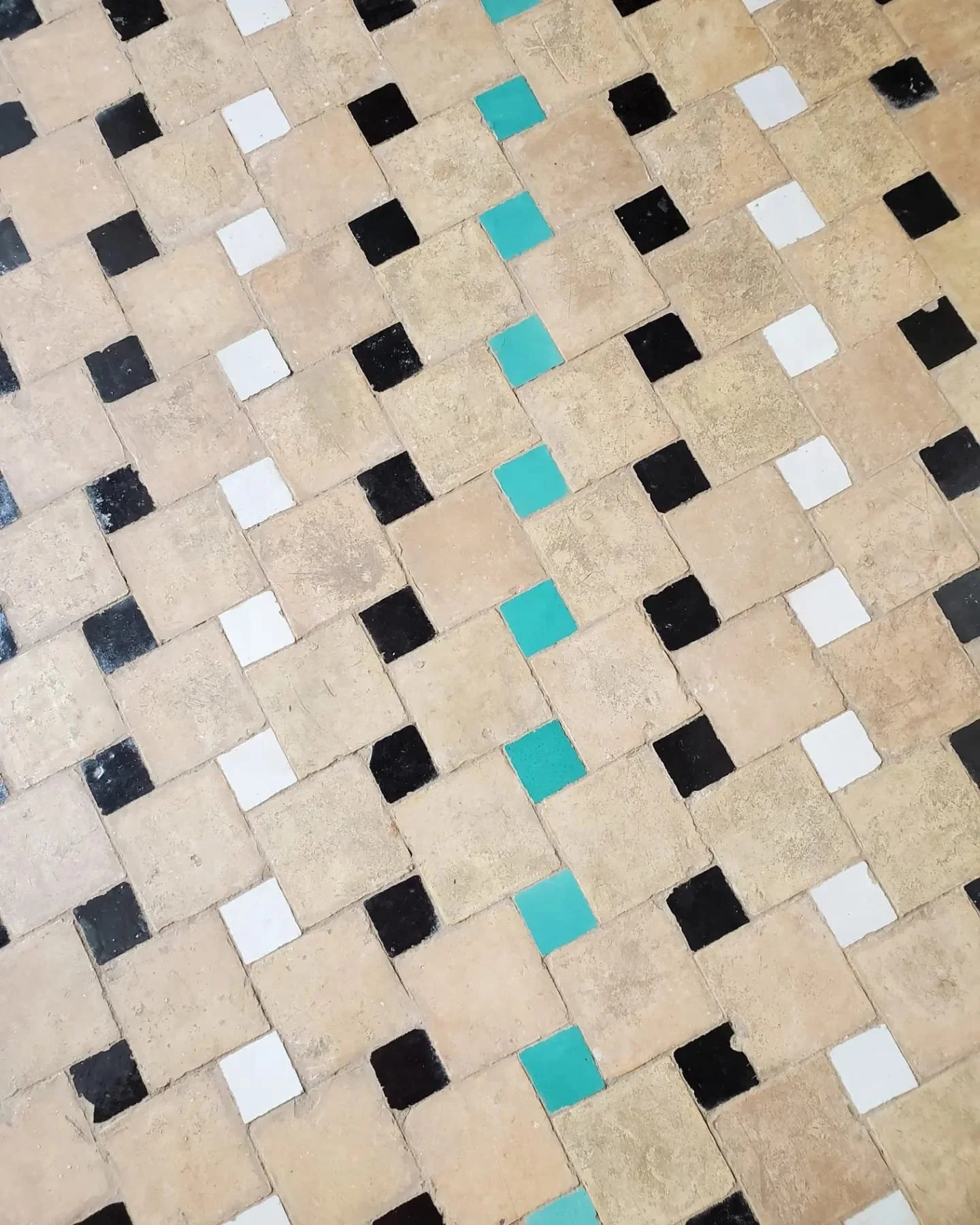 WhatsApp Image 2024-03-13 at 10.16.39 PM.jpeg