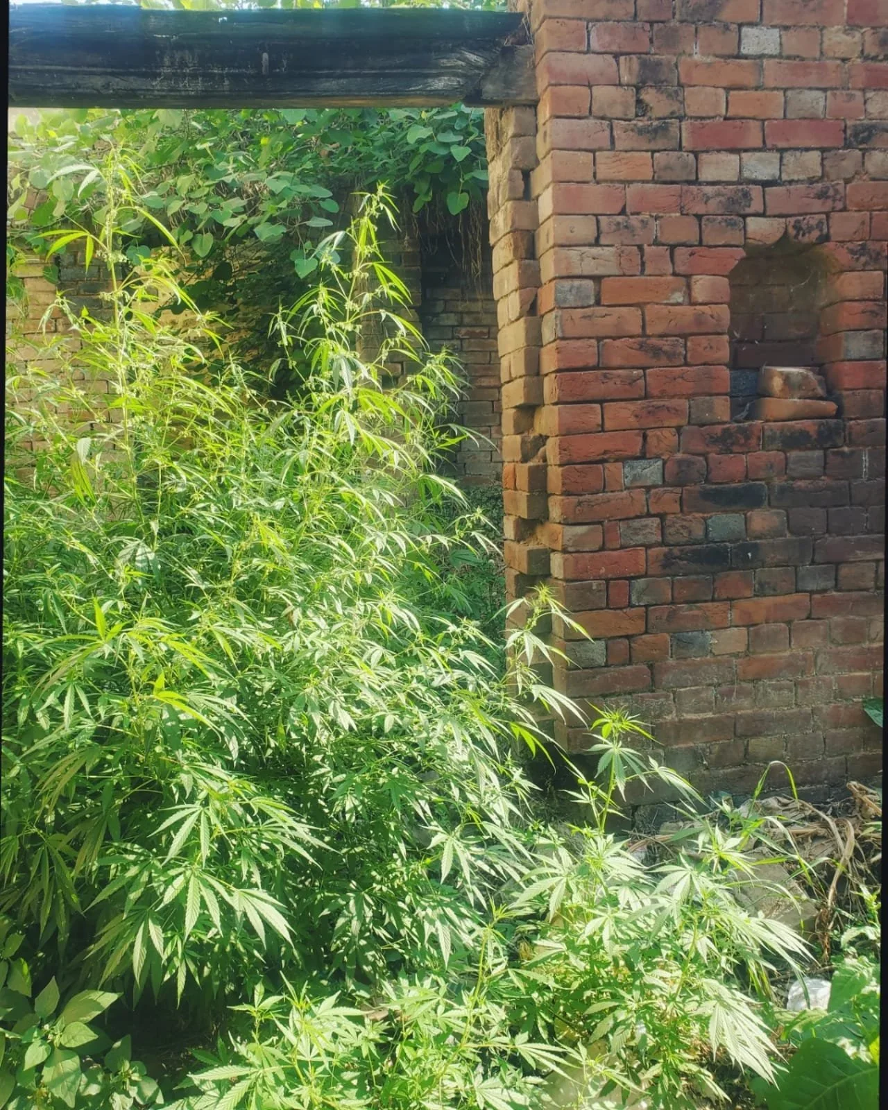 WhatsApp Image 2024-03-13 at 10.04.17 AM.jpeg