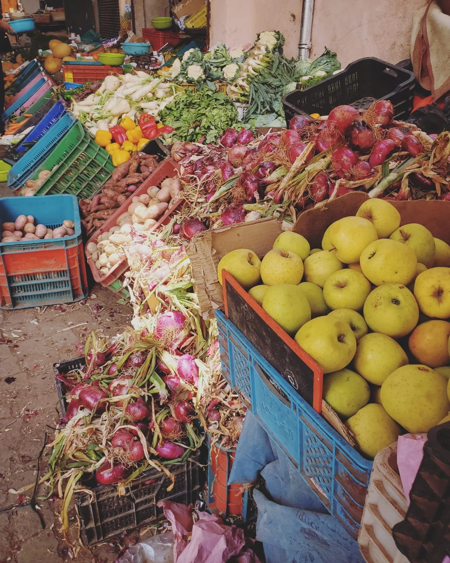 WhatsApp Image 2024-03-13 at 10.17.15 PM (2).jpeg