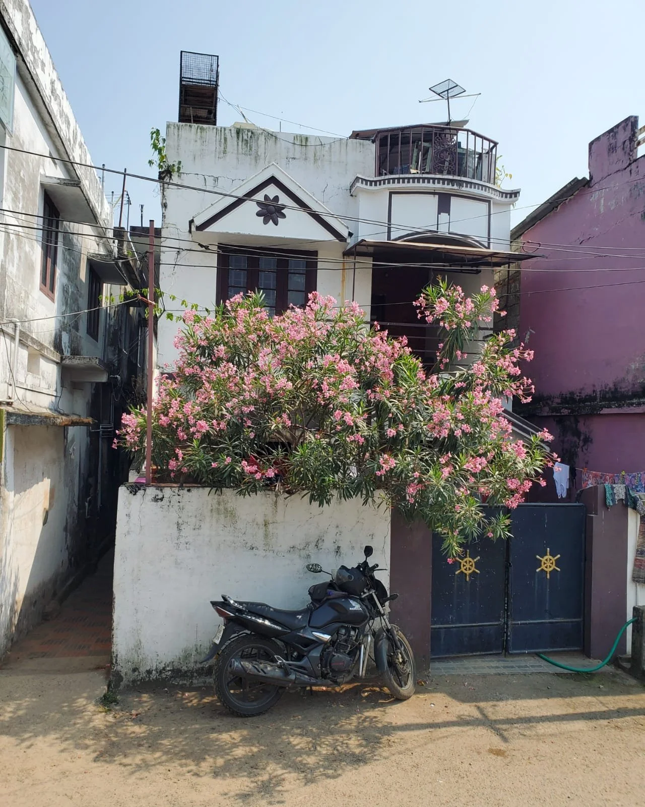 WhatsApp Image 2024-03-13 at 9.00.34 PM (2).jpeg