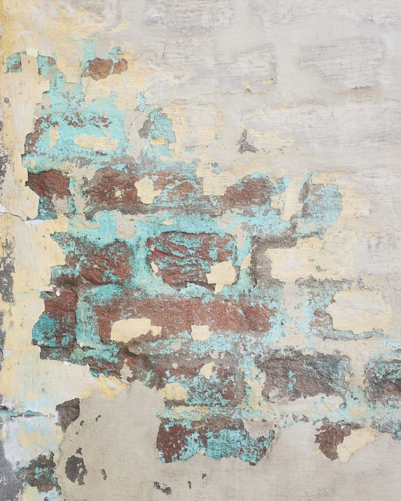 WhatsApp Image 2024-03-13 at 10.04.05 AM.jpeg