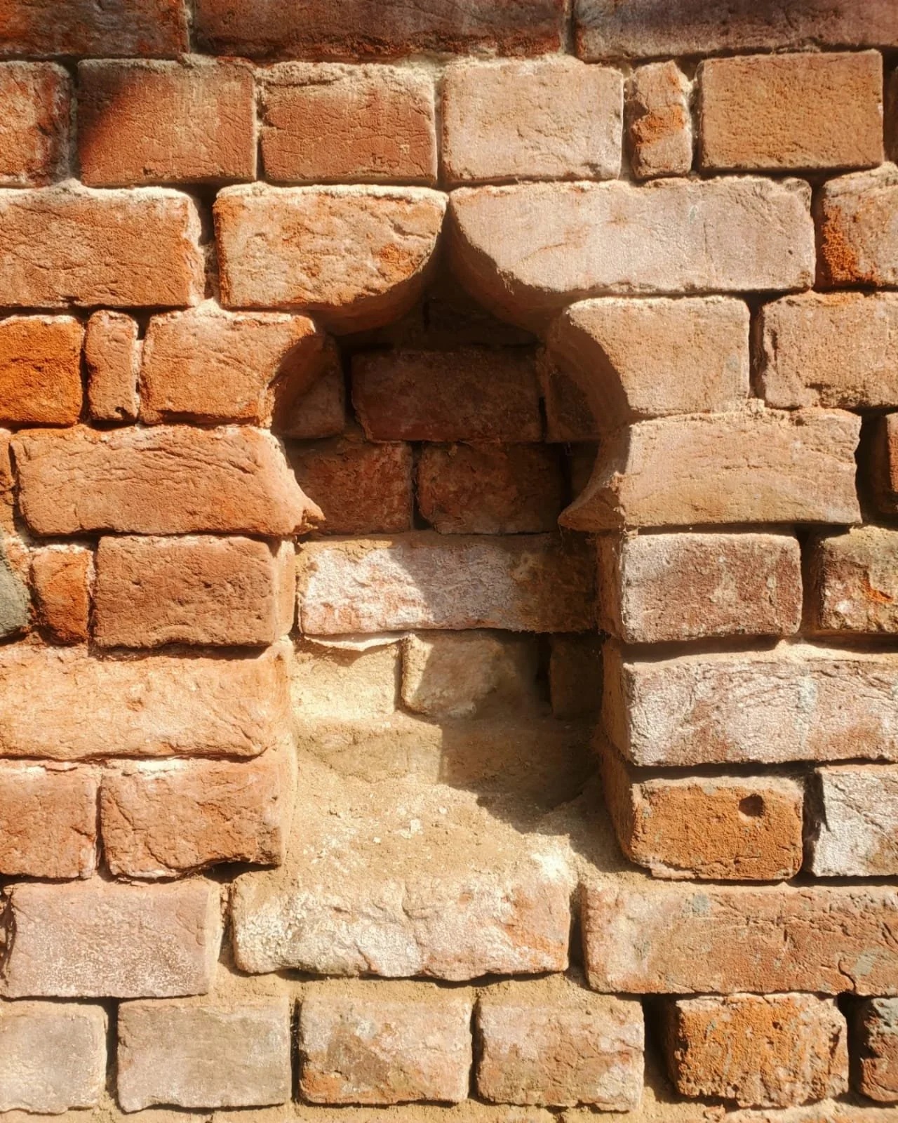 WhatsApp Image 2024-03-13 at 10.04.19 AM.jpeg