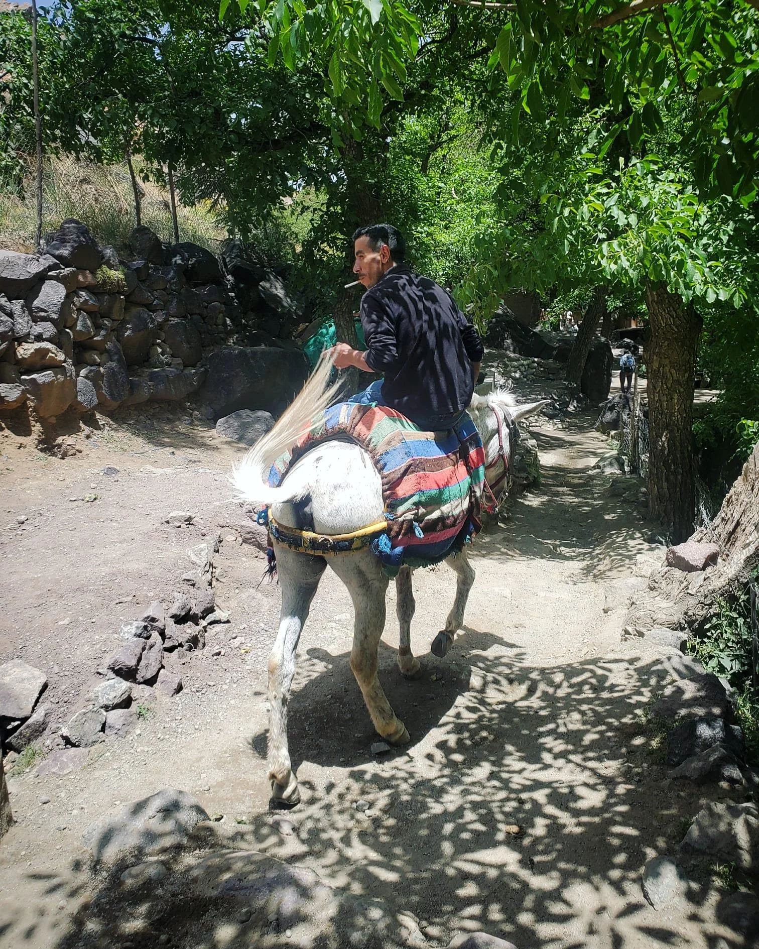 WhatsApp Image 2024-03-13 at 10.17.02 PM (1).jpeg