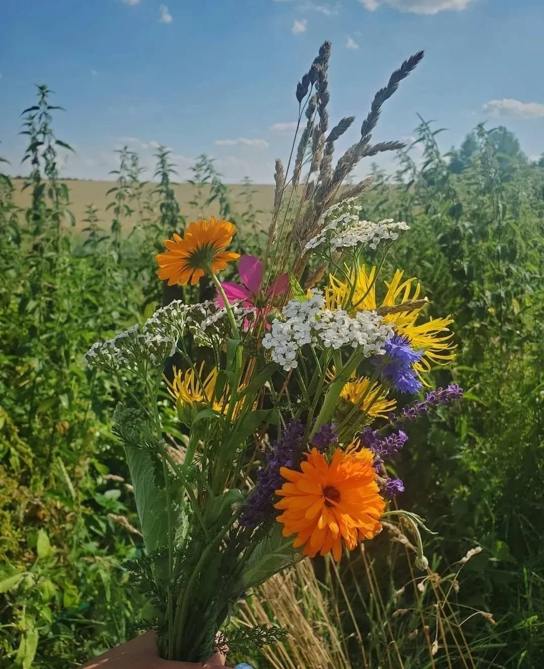 WhatsApp Image 2024-03-13 at 10.04.08 AM (1).jpeg