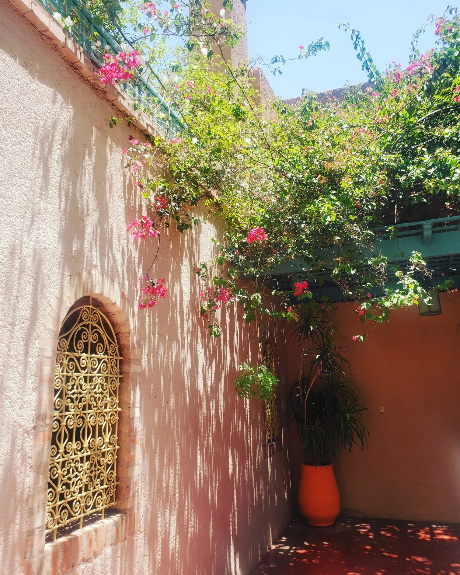 WhatsApp Image 2024-03-13 at 10.17.16 PM (3).jpeg