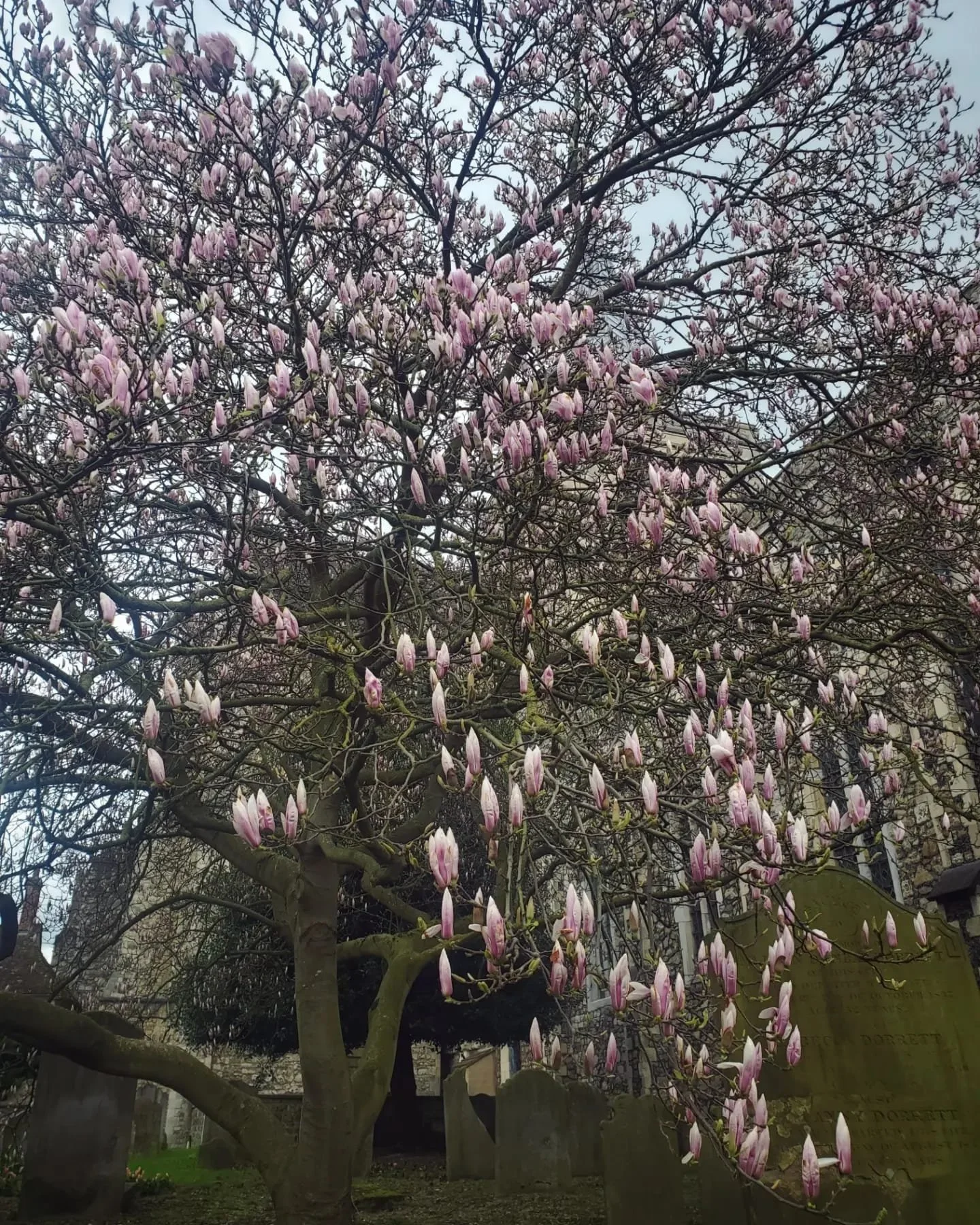 WhatsApp Image 2024-03-13 at 9.00.21 PM.jpeg