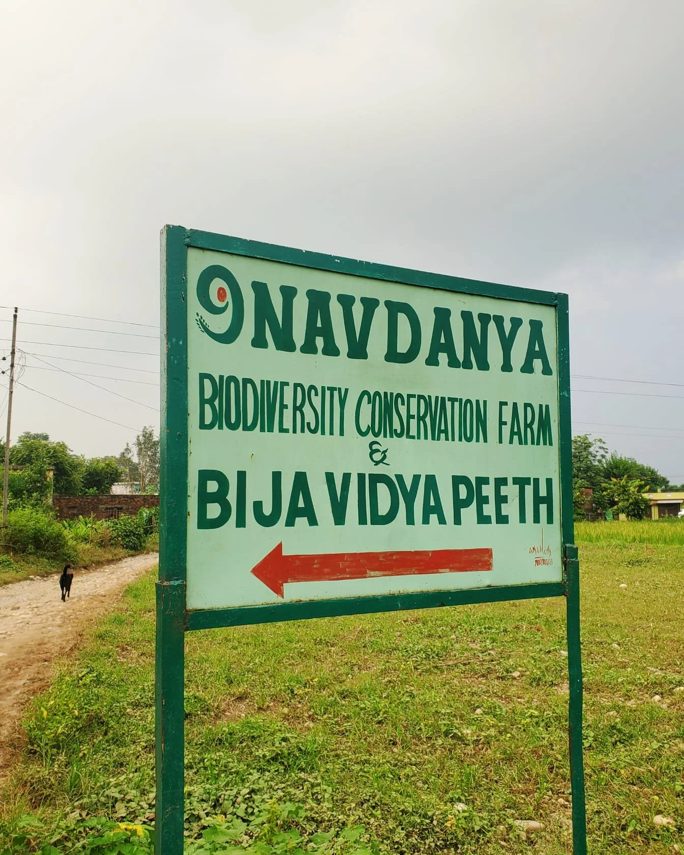 WhatsApp Image 2024-03-13 at 9.12.43 PM (1).jpeg