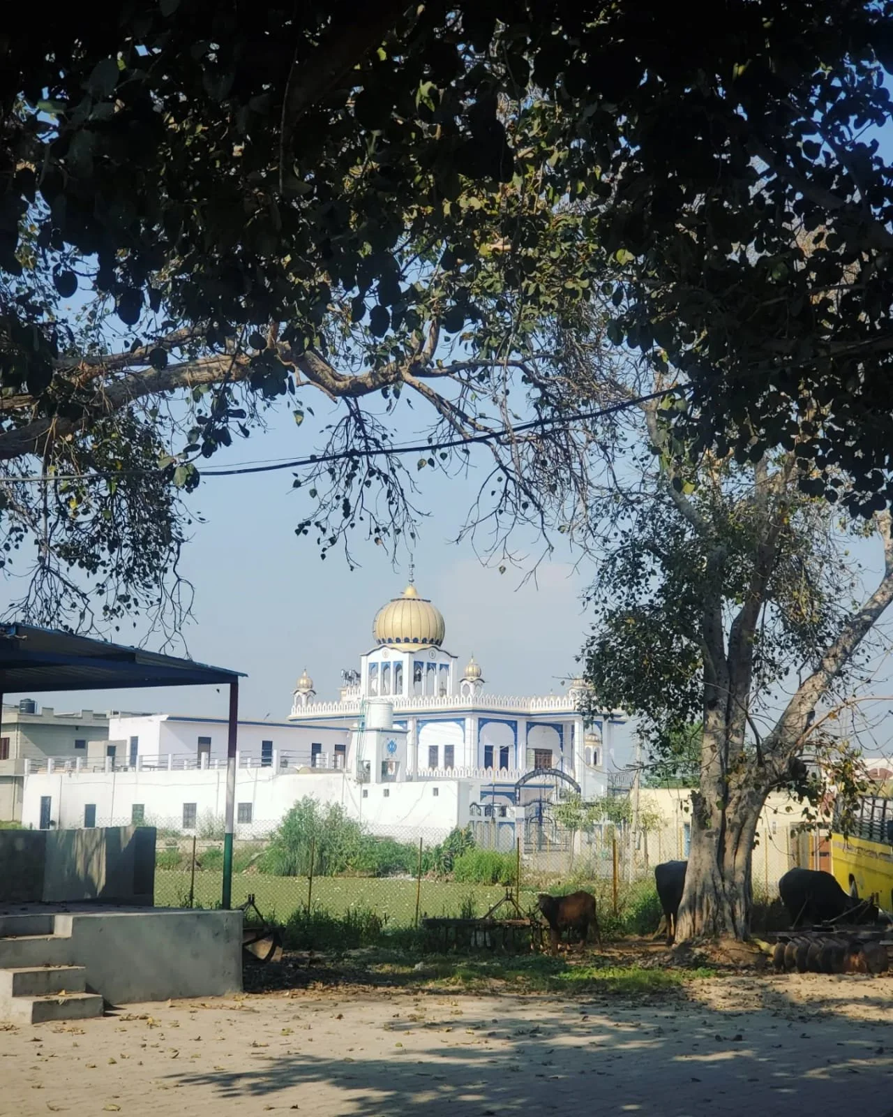 WhatsApp Image 2024-03-13 at 10.04.15 AM.jpeg