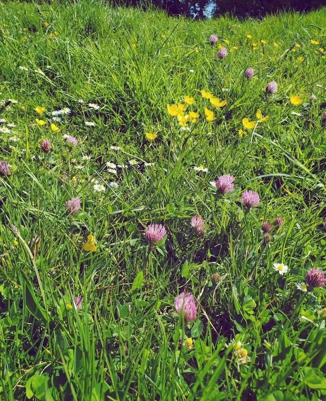 WhatsApp Image 2024-03-13 at 10.04.23 AM.jpeg