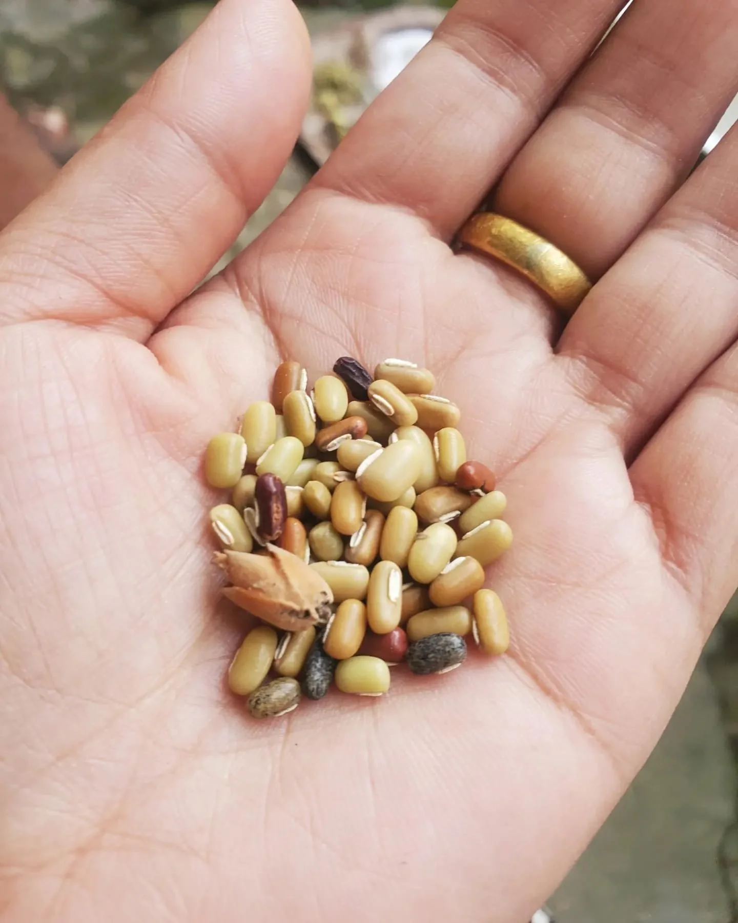 WhatsApp Image 2024-03-13 at 9.00.43 PM (1).jpeg