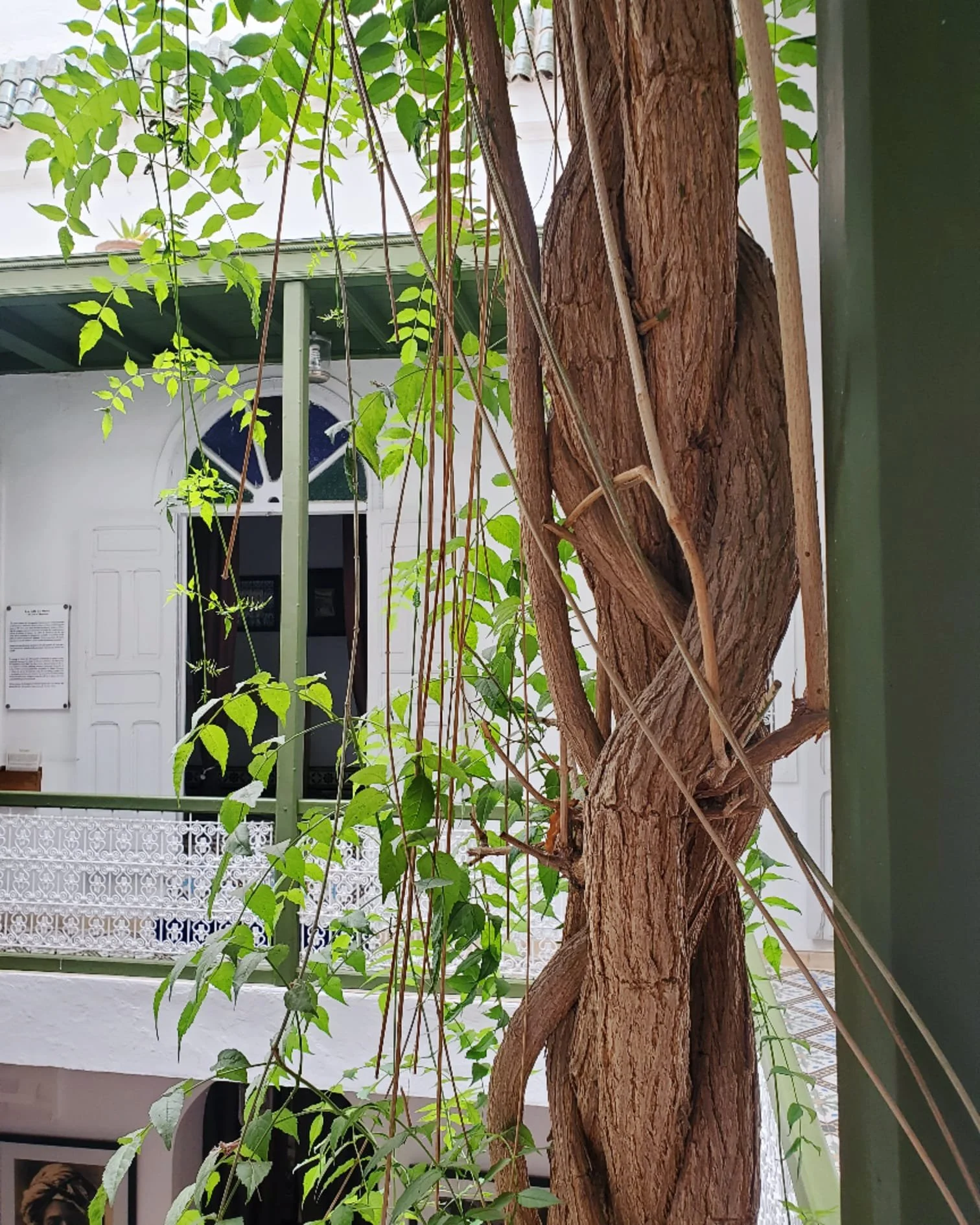 WhatsApp Image 2024-03-13 at 10.17.12 PM.jpeg