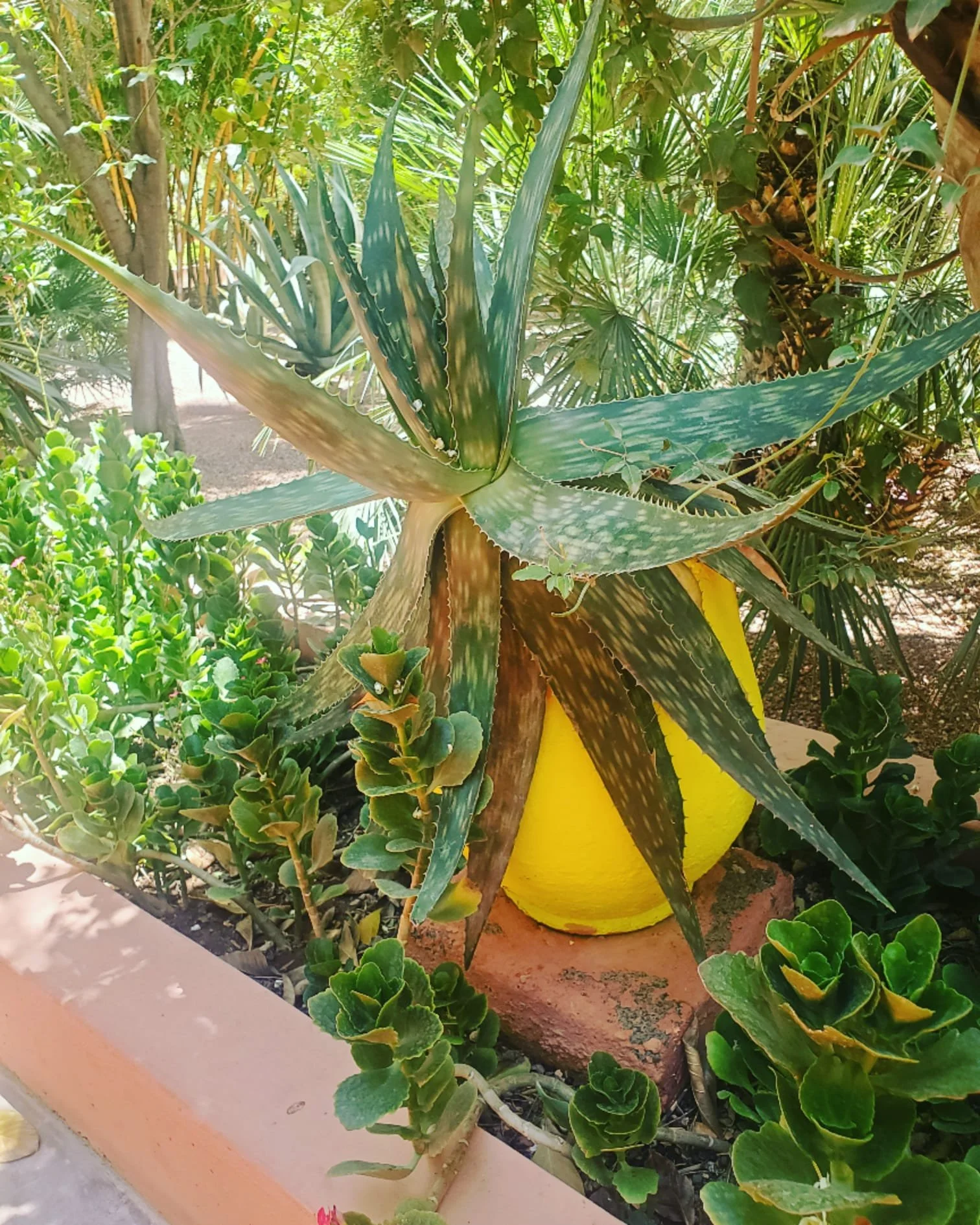 WhatsApp Image 2024-03-13 at 10.17.15 PM.jpeg