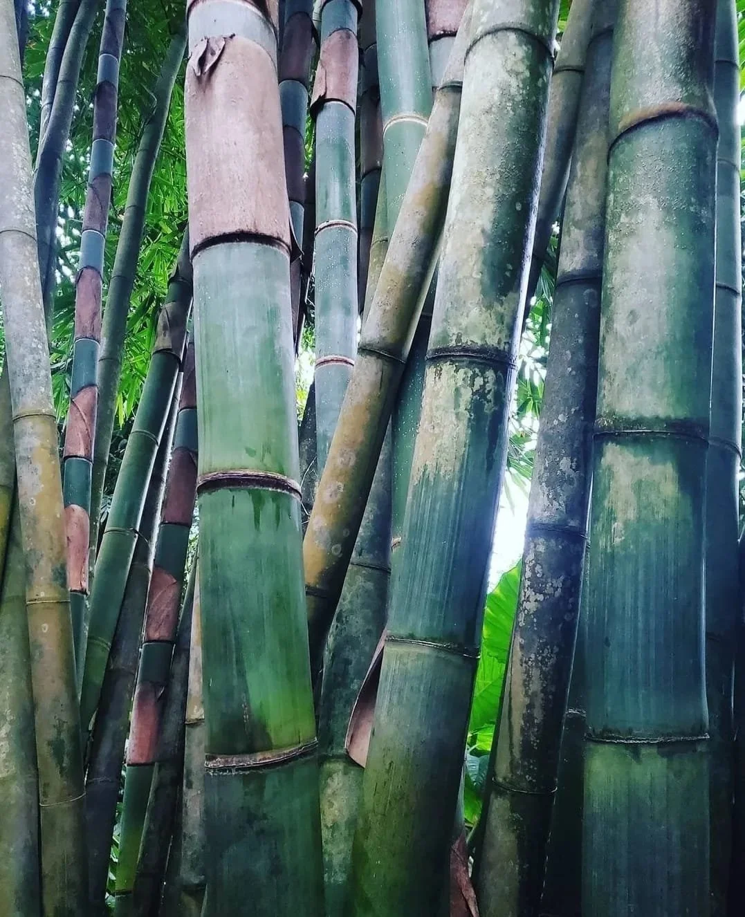 WhatsApp Image 2024-03-13 at 10.04.13 AM.jpeg