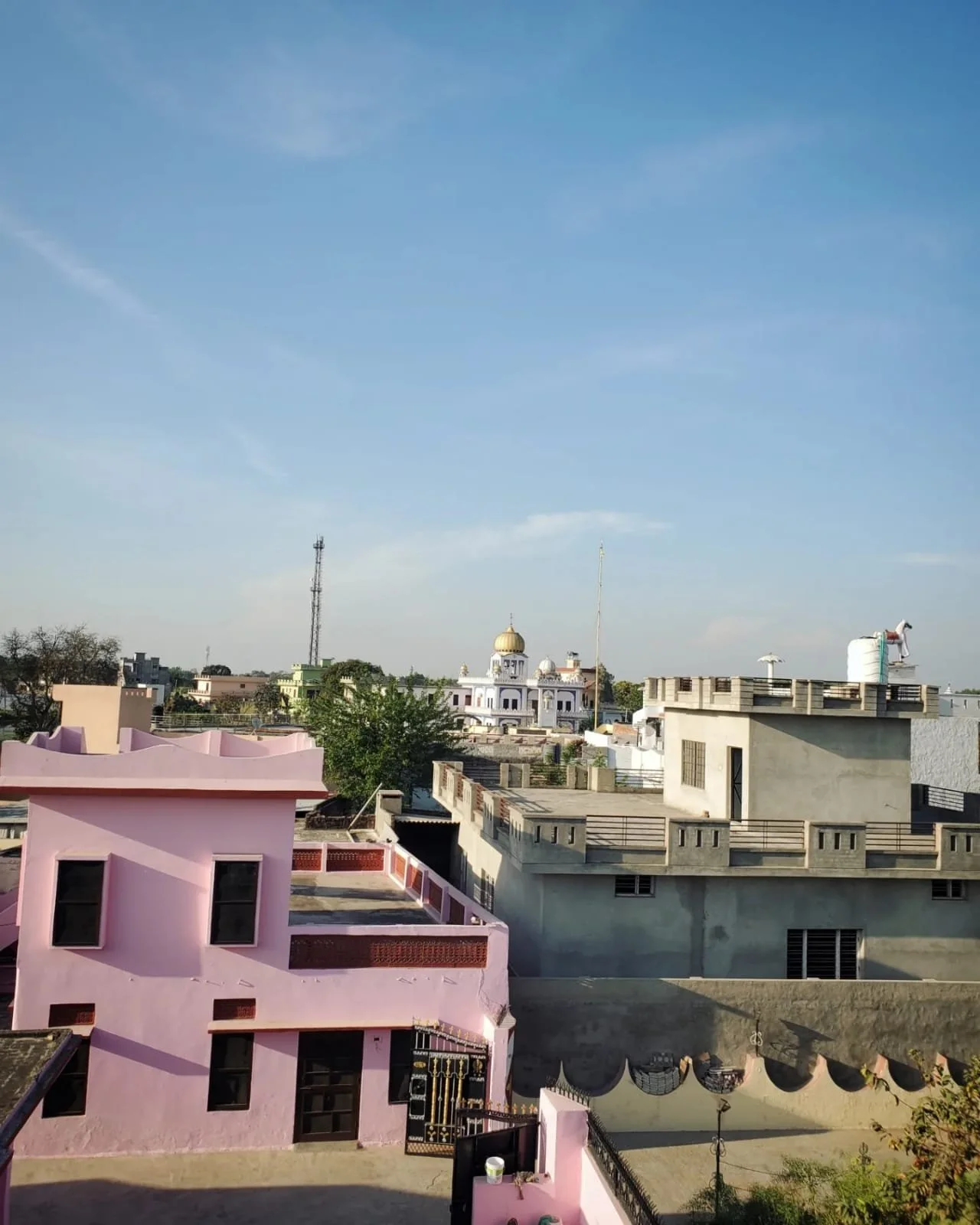 WhatsApp Image 2024-03-13 at 10.04.13 AM (1).jpeg