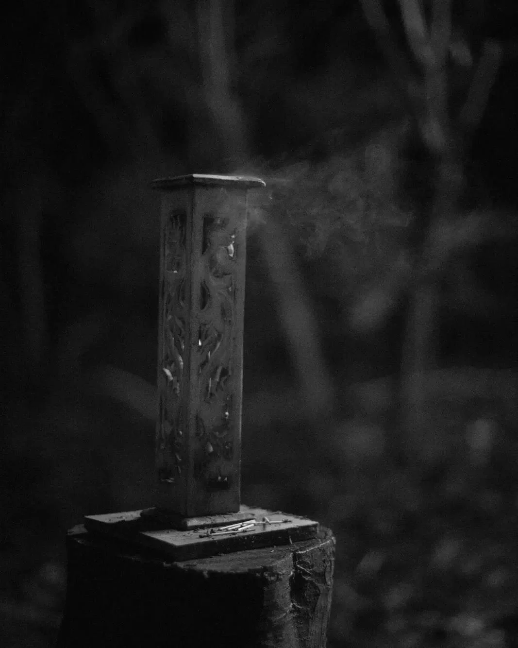 WhatsApp Image 2024-03-13 at 9.00.39 PM (4).jpeg