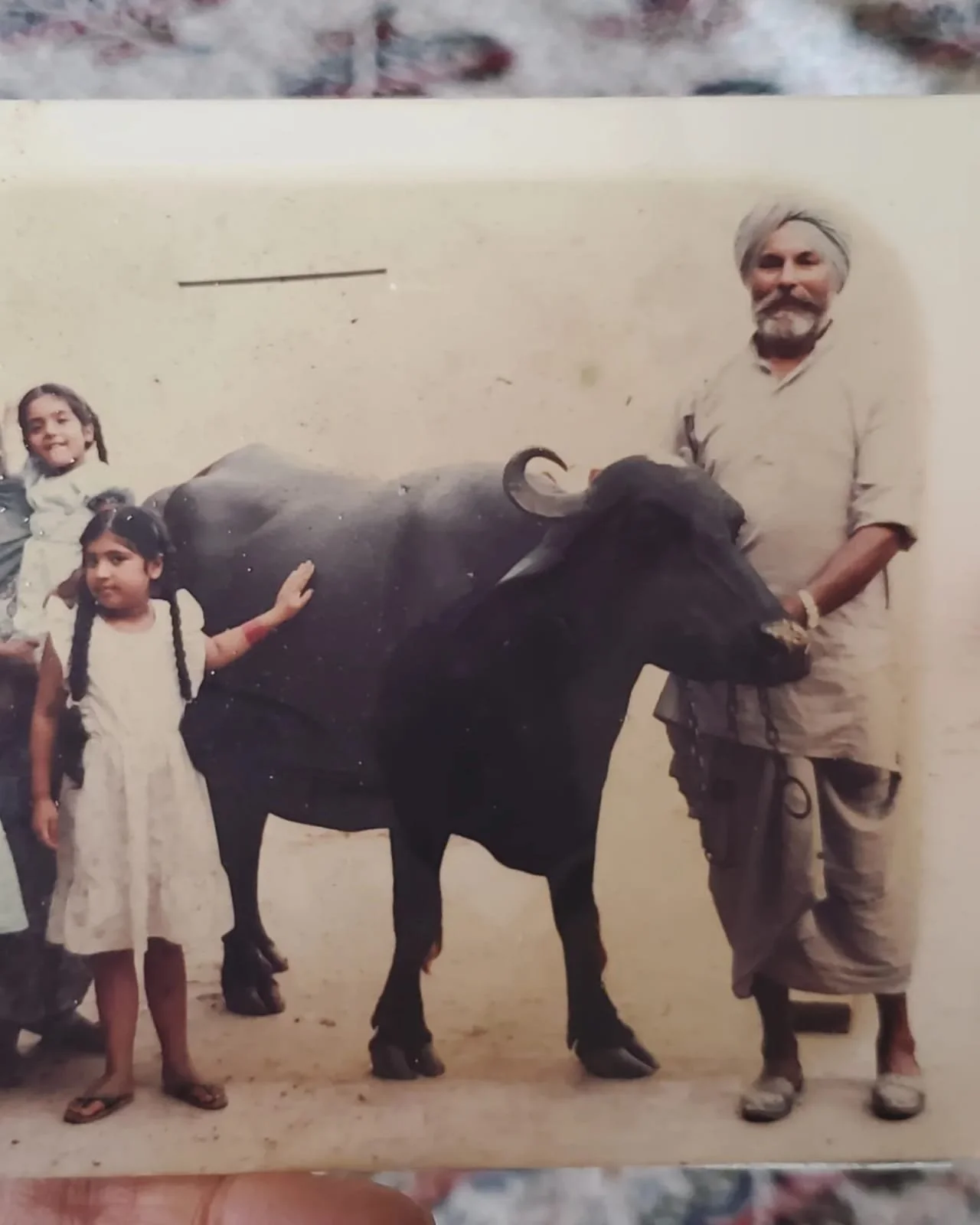 WhatsApp Image 2024-03-13 at 10.03.52 AM.jpeg