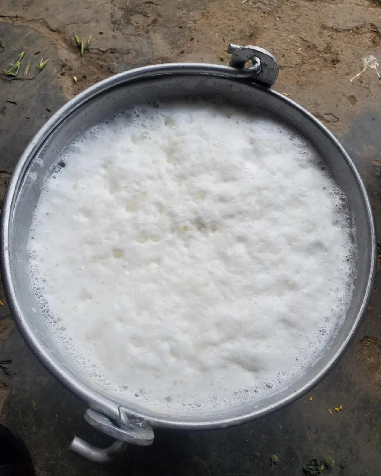 WhatsApp Image 2024-03-13 at 10.04.22 AM (2).jpeg