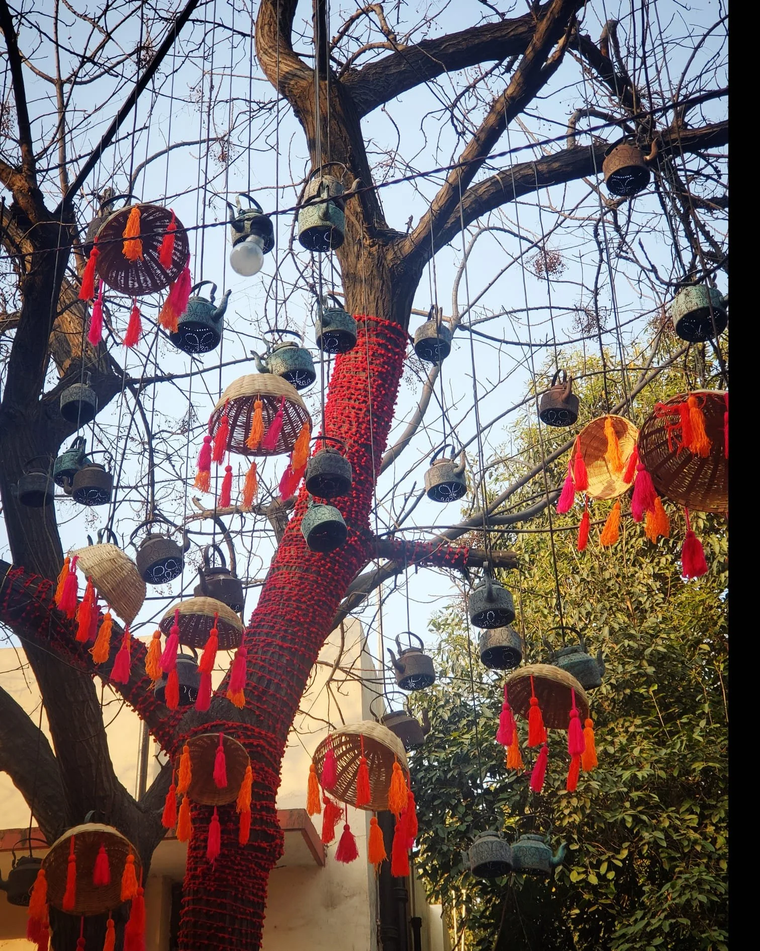 WhatsApp Image 2024-03-13 at 9.00.37 PM (1).jpeg