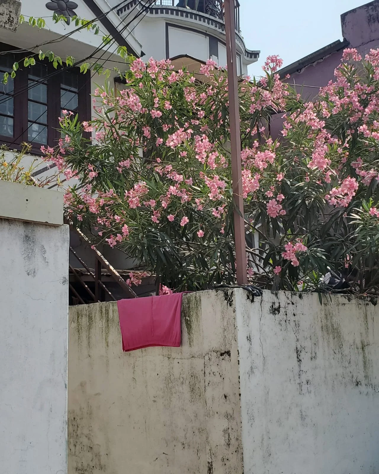 WhatsApp Image 2024-03-13 at 9.00.35 PM.jpeg