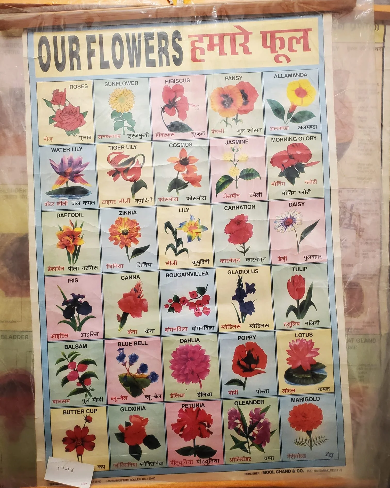 WhatsApp Image 2024-03-13 at 9.12.34 PM.jpeg