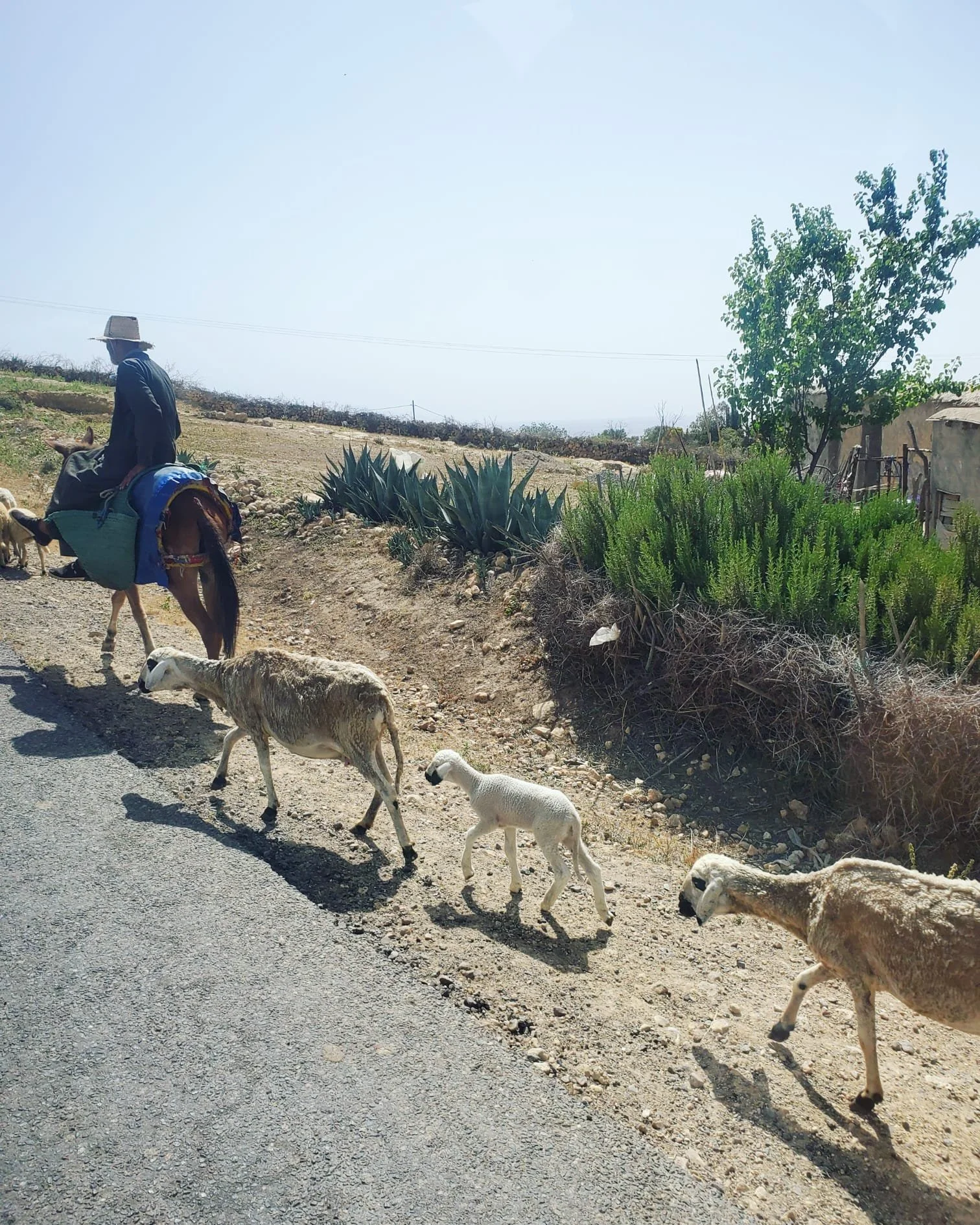 WhatsApp Image 2024-03-13 at 10.17.03 PM (1).jpeg