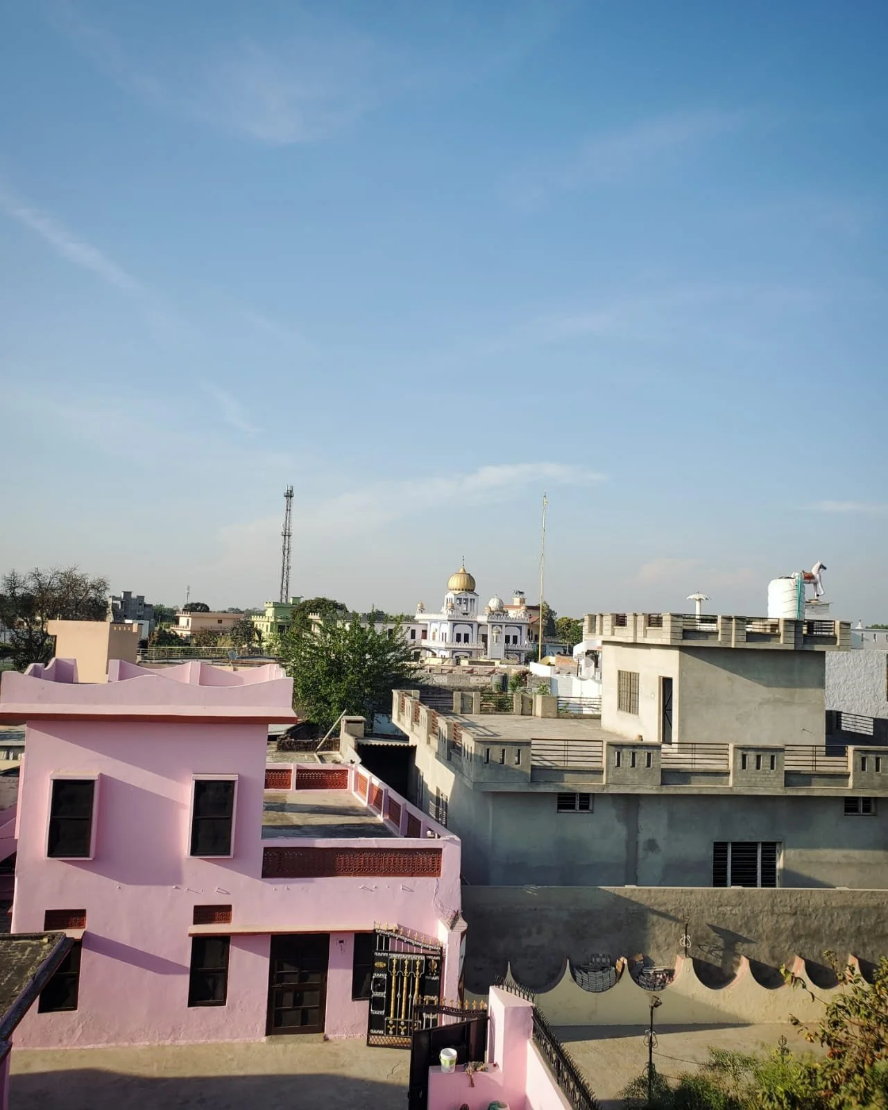 WhatsApp Image 2024-03-13 at 10.04.18 AM (1).jpeg