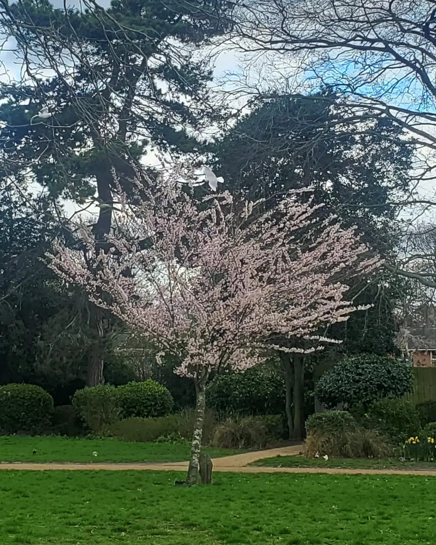 WhatsApp Image 2024-03-13 at 9.00.20 PM (1).jpeg