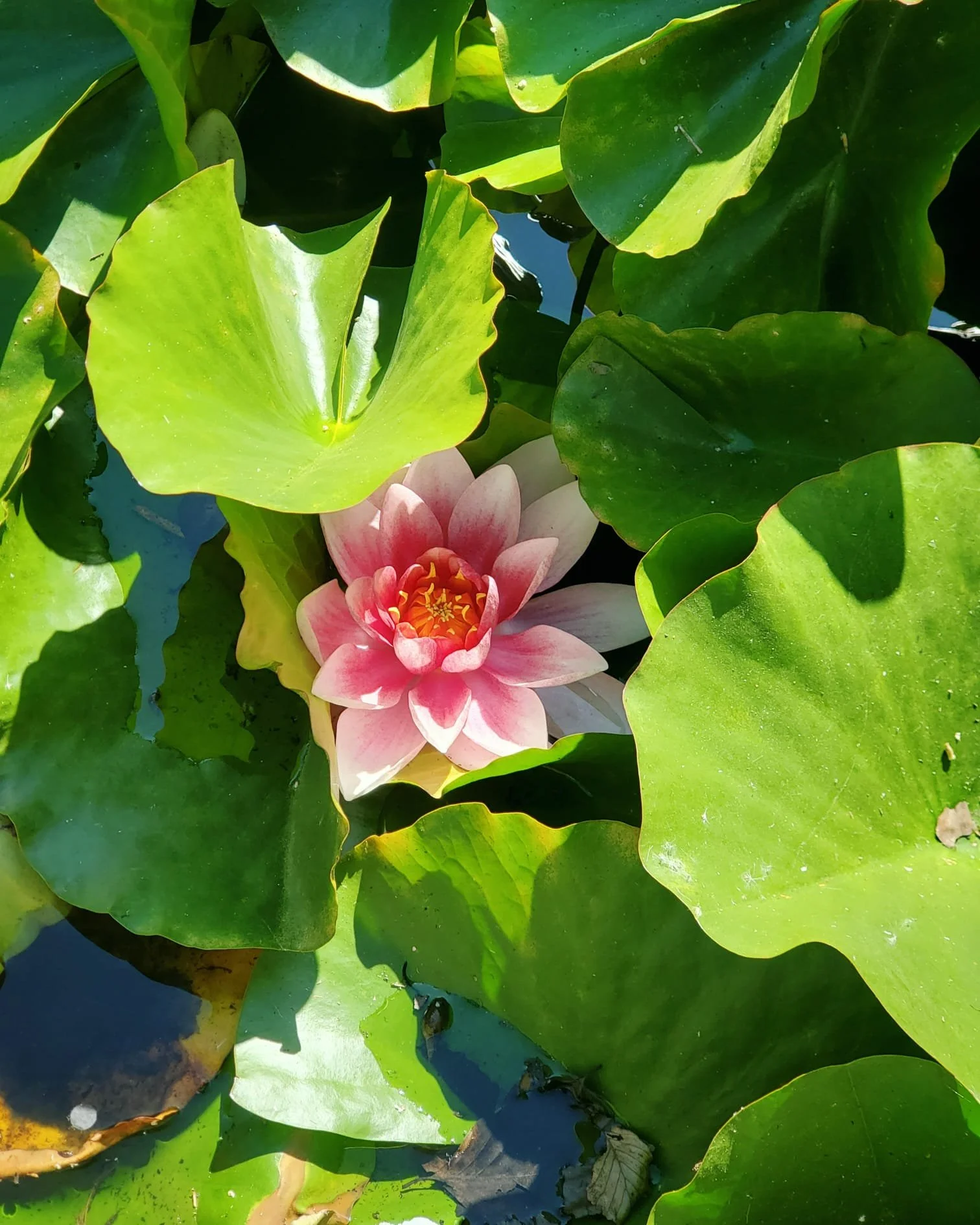 WhatsApp Image 2024-03-13 at 9.12.45 PM (3).jpeg