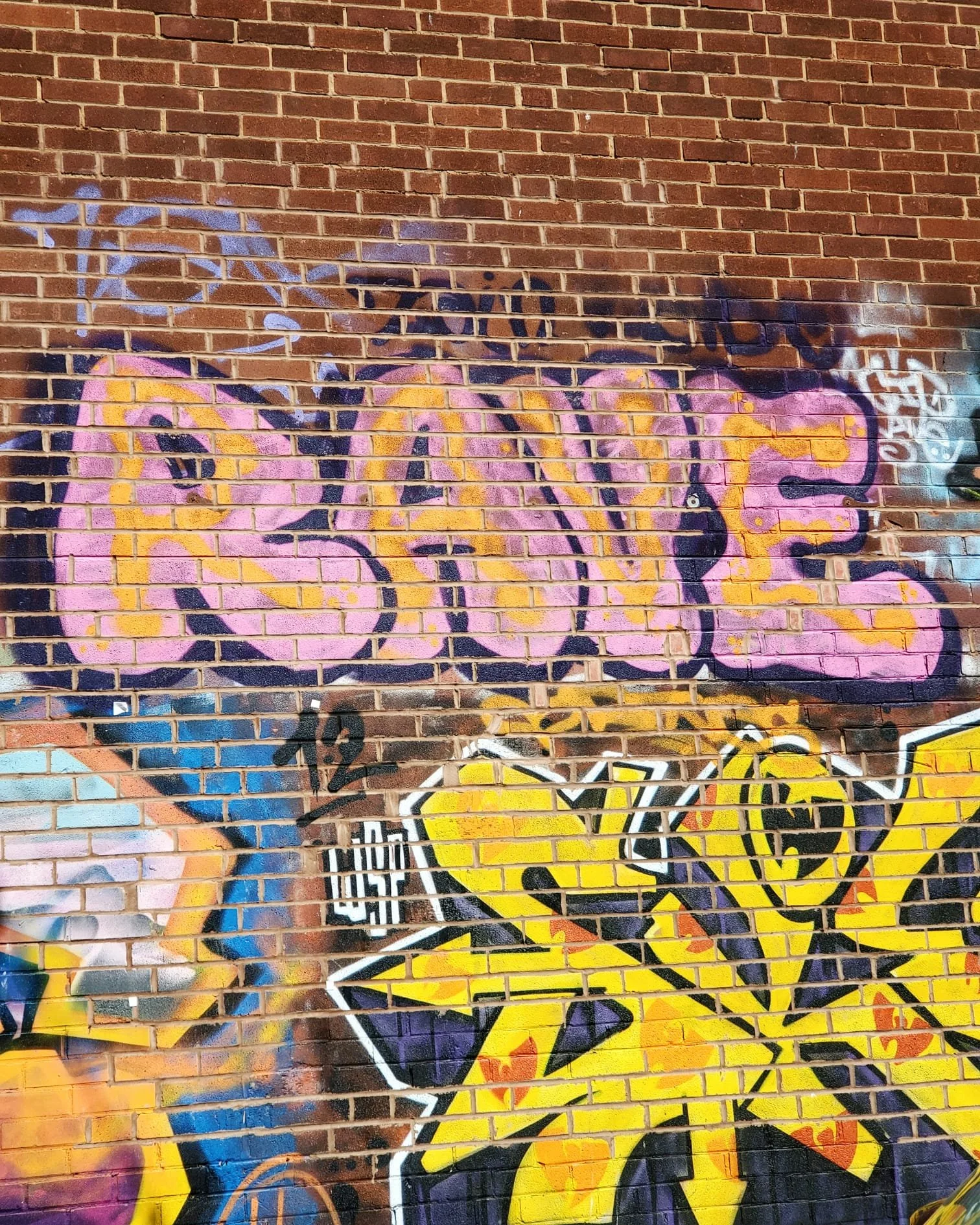 WhatsApp Image 2024-03-13 at 9.12.43 PM (3).jpeg