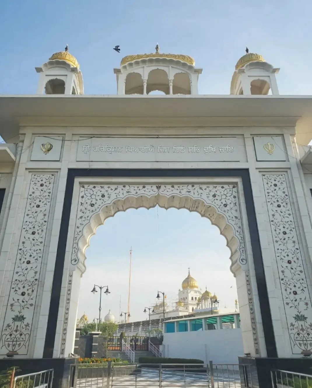 WhatsApp Image 2024-03-13 at 9.00.37 PM (3).jpeg