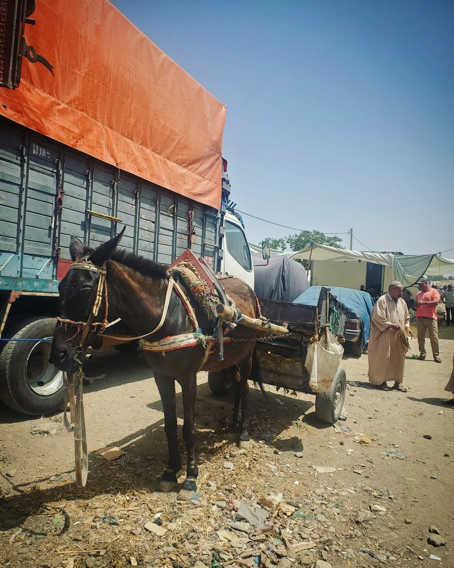 WhatsApp Image 2024-03-13 at 10.17.16 PM (1).jpeg