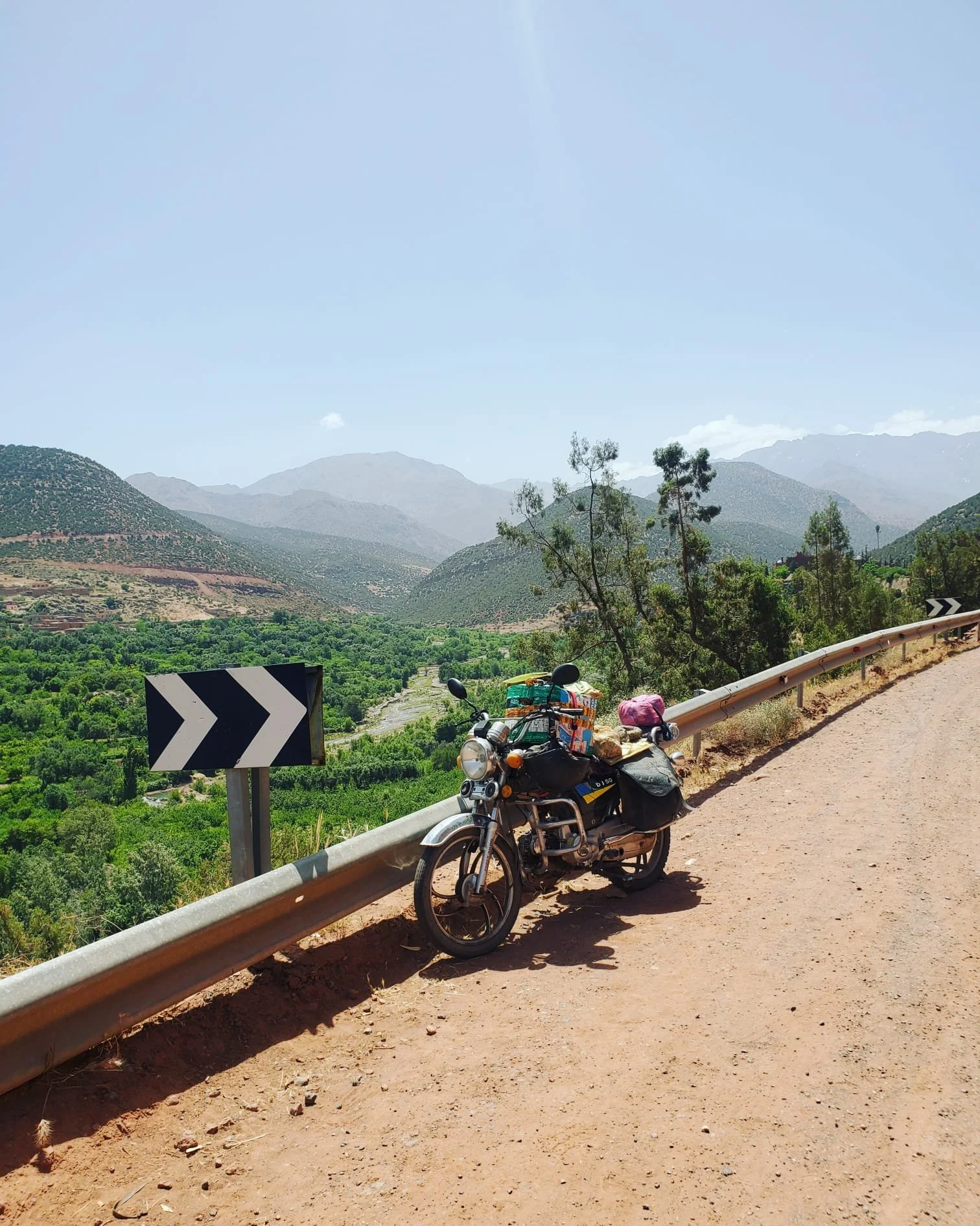 WhatsApp Image 2024-03-13 at 10.17.02 PM.jpeg