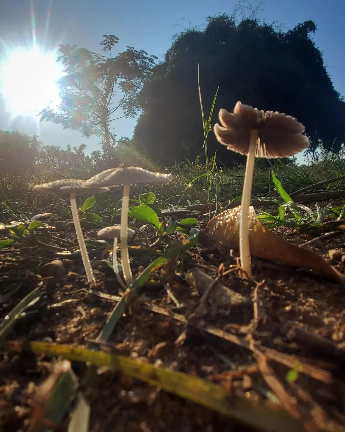 WhatsApp Image 2024-03-13 at 9.00.43 PM (4).jpeg