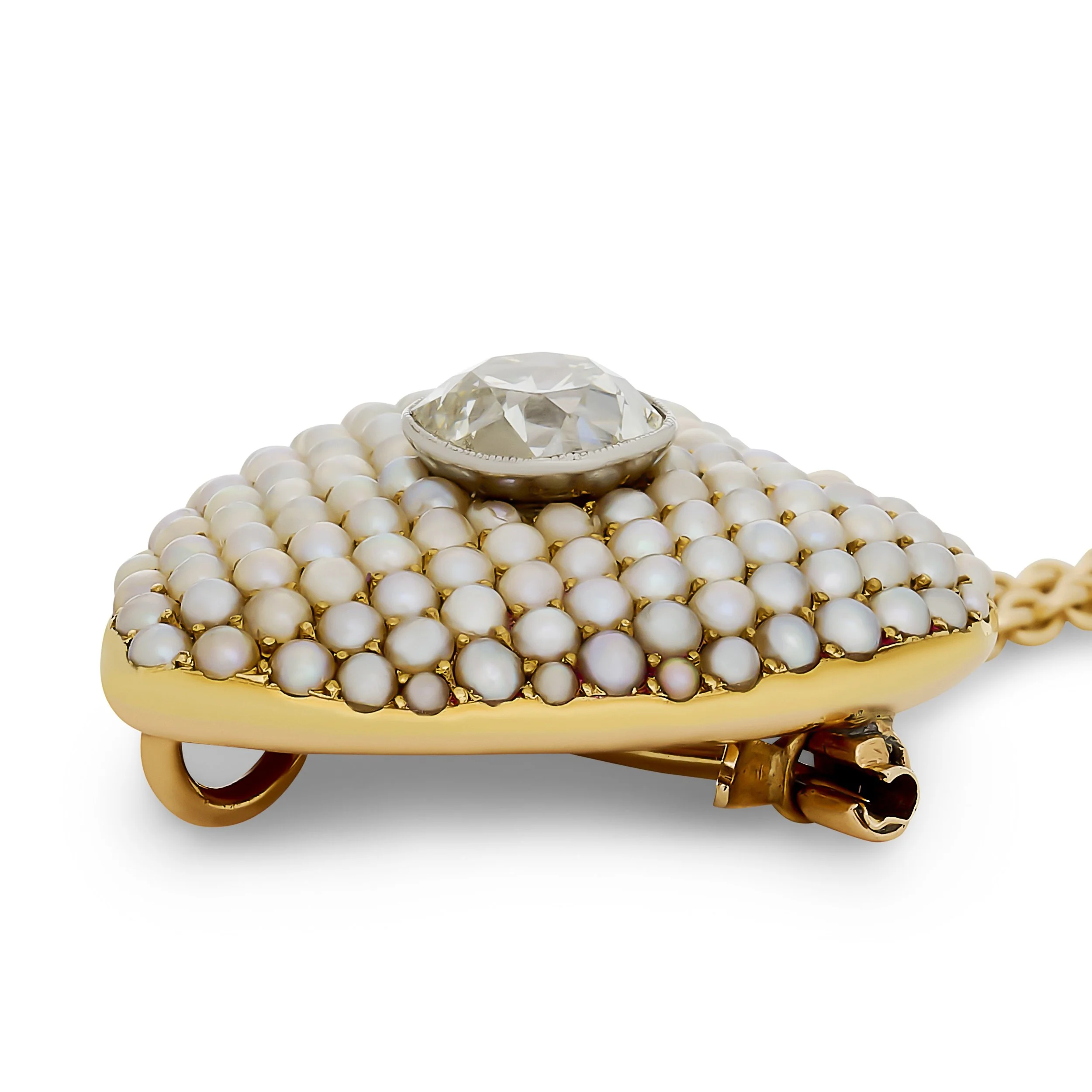 82681_32843.jpg