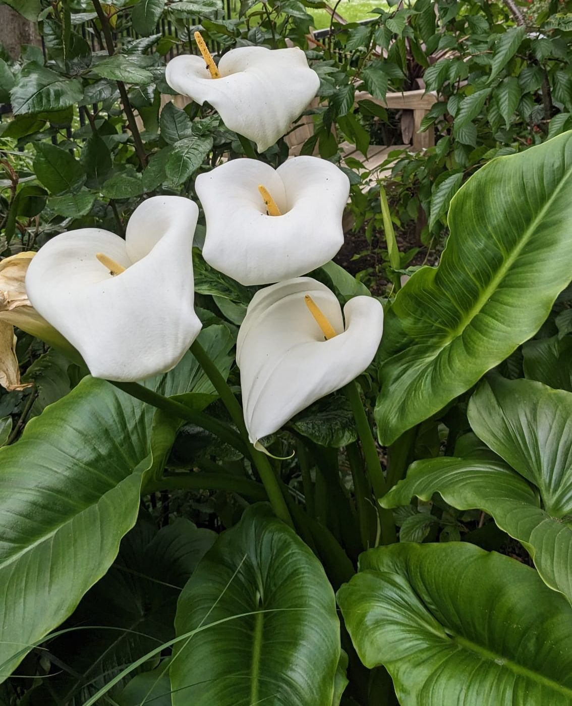 PHOTO-2023-09-28-18-20-31 2.jpg